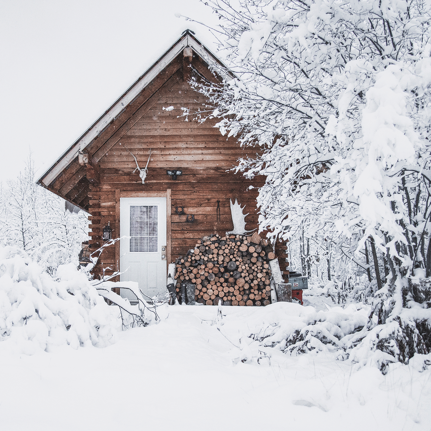 A wooden cabin exudes rustic charm as it's enveloped in snow, with logs stacked beside the door and bare trees nearby. Picture holiday gatherings inside, perhaps with a Tuscany Candle® SEASONAL Mountain Lodge Long-Lasting Scented Jar Candle (18 oz) flickering warmly on the windowsill, adding to the cozy ambiance.