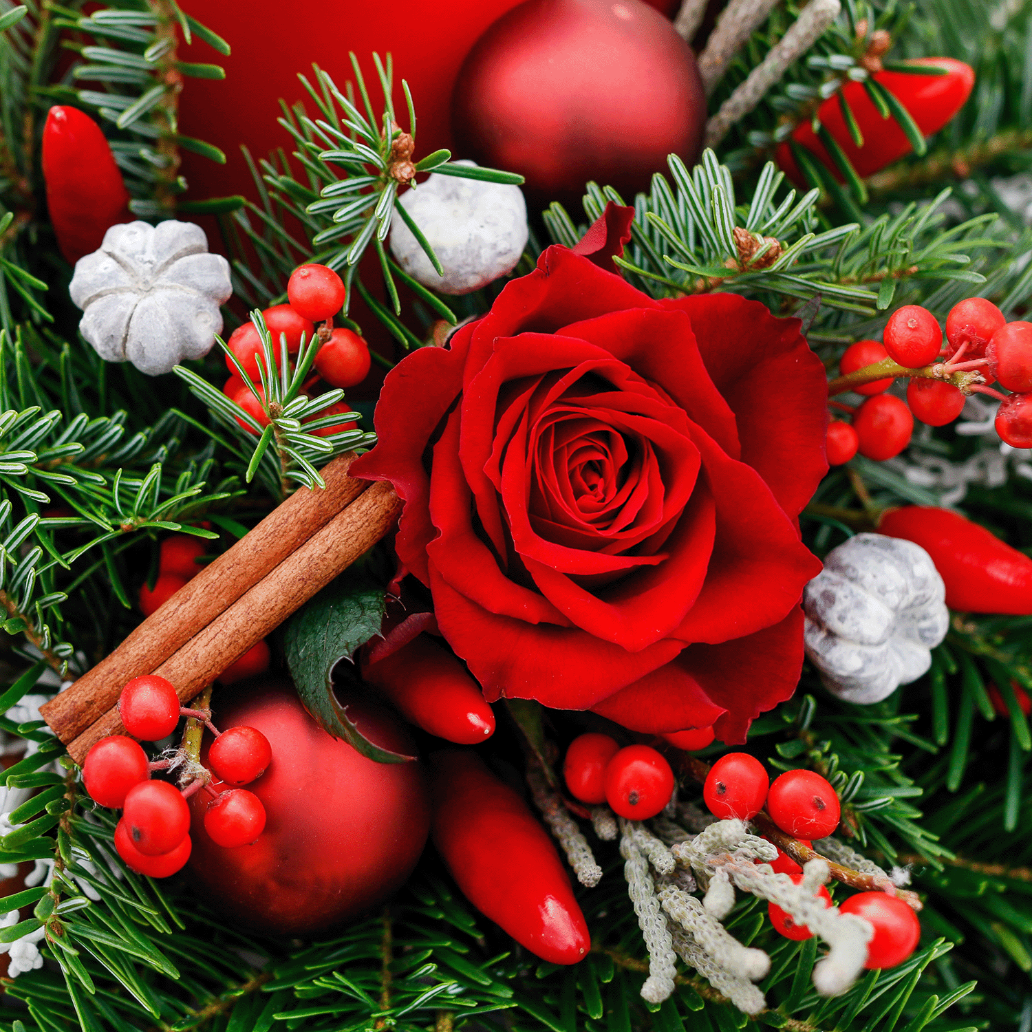 A close-up of a festive arrangement featuring a red rose, pine branches, red berries, and silver accents, complemented by cinnamon sticks and the refreshing hint of a Citrus Sparkle Long-Lasting Scented Jar Candle (14 oz) by Tuscany Candle® SEASONAL.