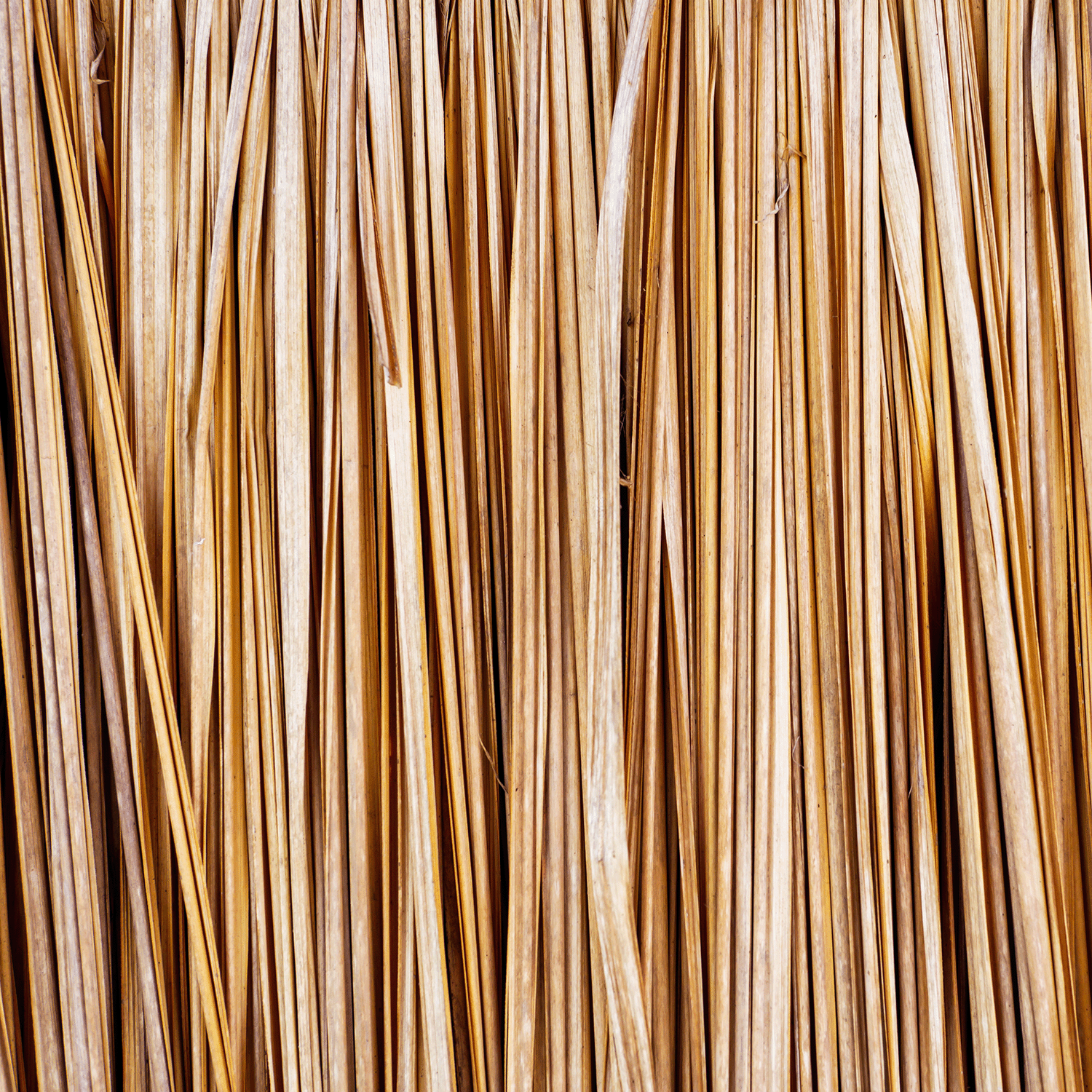 A close-up of the Snowy Spruce Scented Jar Candle by Tuscany Candle® SEASONAL, displaying its natural beige and brown hues that perfectly enhance holiday décor with a rustic charm.