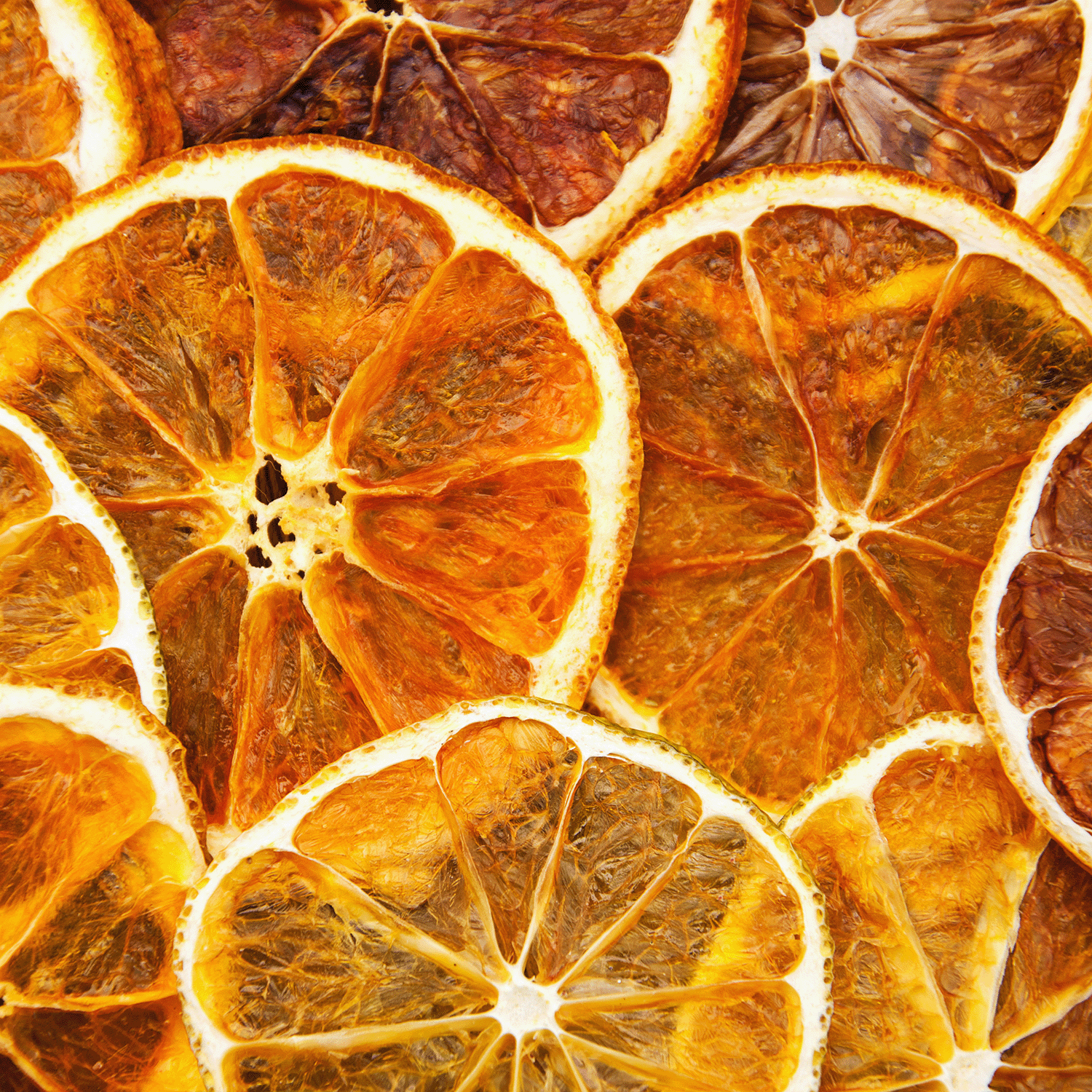 Close-up of dried orange slices displaying a mix of orange and brown hues, intricately overlapping to evoke the cozy warmth of the Sparkling Sangria Long-Lasting Scented Jar Candle by Tuscany Candle® SEASONAL (14 oz), ideal for enriching your holiday ambiance.