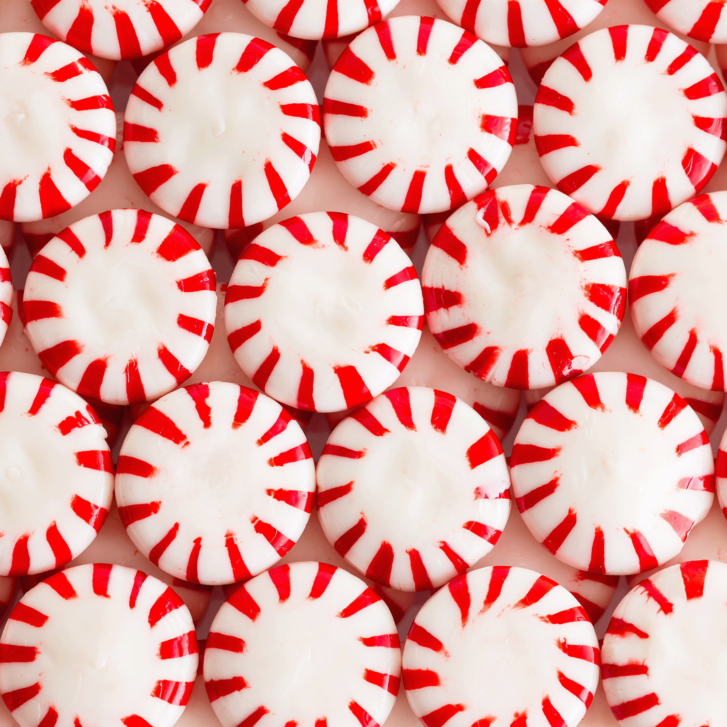 Close-up of Mint Meringue Scented Wax Melts by Tuscany Candle®, arranged in a grid pattern, showcasing their festive red and white design.