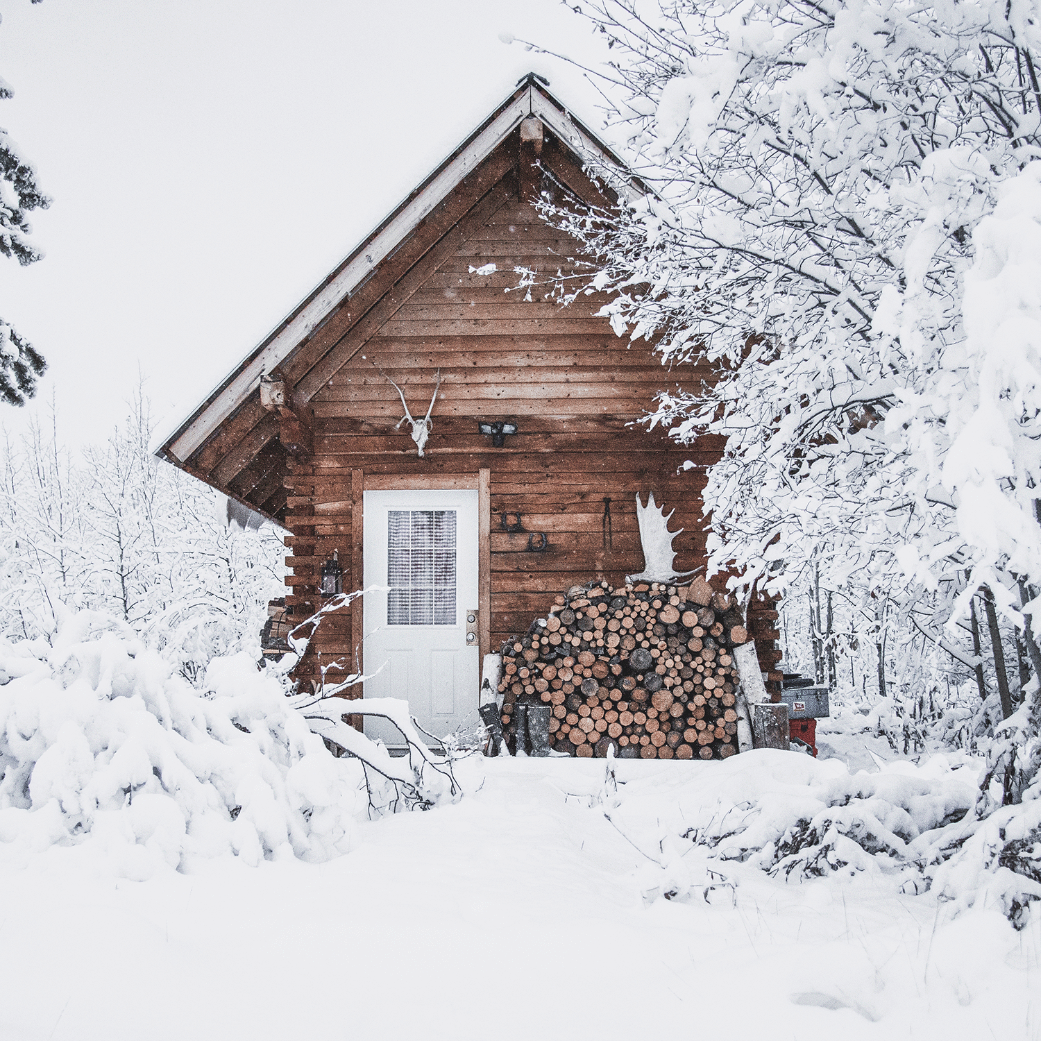 A Mountain Lodge Scented Wax Melt (2.5 oz) by Tuscany Candle® SEASONAL evokes the ambiance of a cozy wooden cabin nestled among snow-laden trees, with neatly stacked firewood by the entrance.