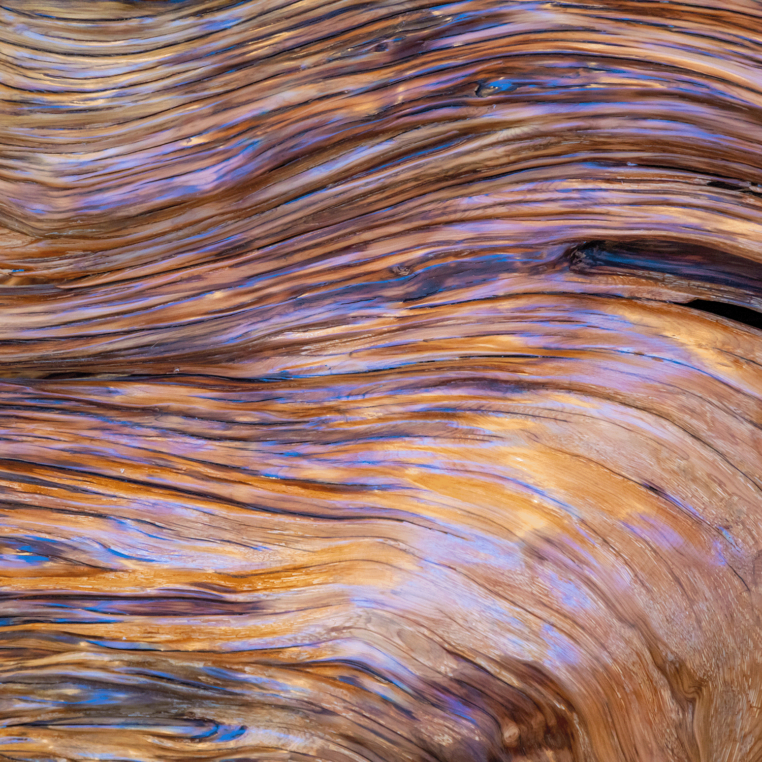 A close-up of abstract, wavy wood grain patterns in brown and blue hues evokes flowing water, with hints of French lavender swirling through, similar to the serene fragrance of the Meadow Blooms: Lavender Scented Easter Candle by Tuscany Candle® SEASONAL.