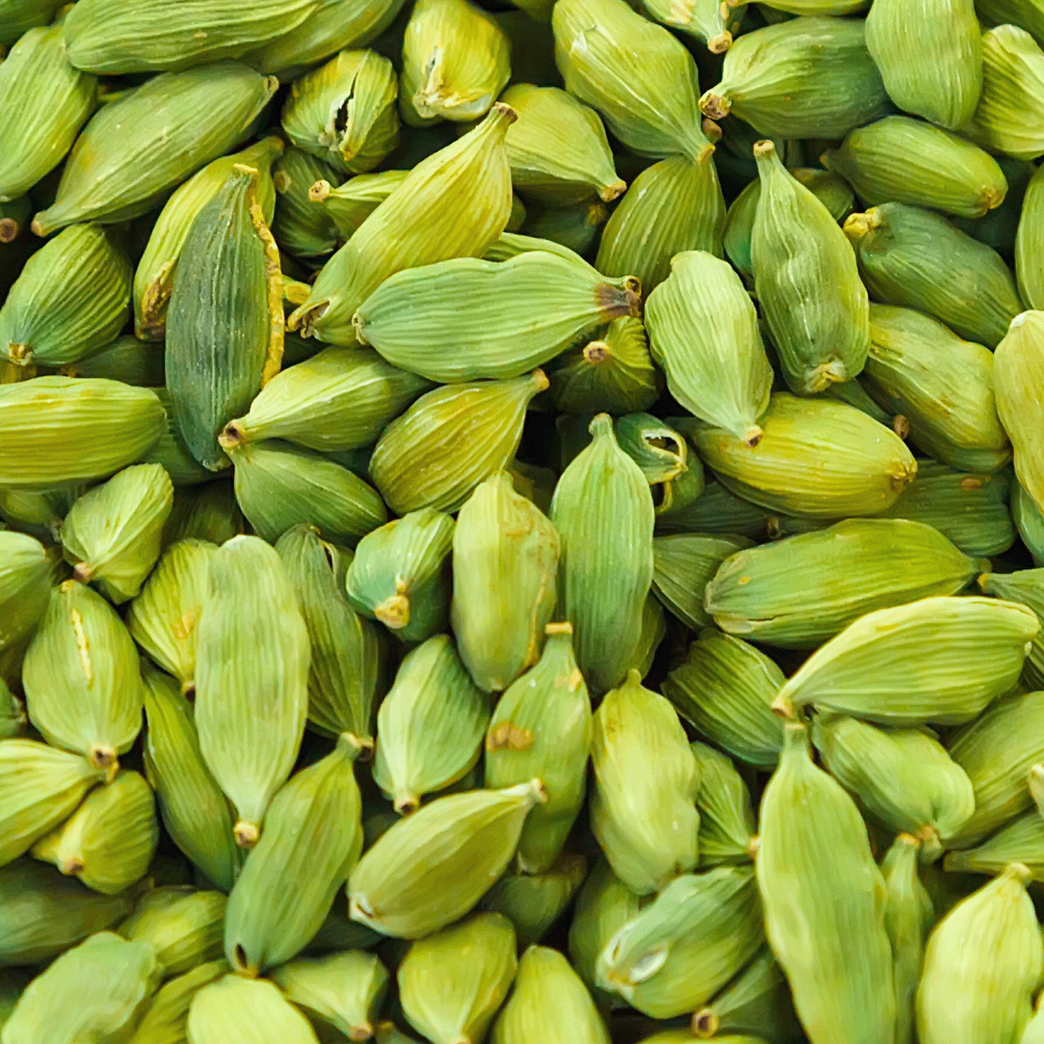 A close-up of green cardamom pods, highlighting their elongated shape and ridged texture, mirrors the exotic allure captured in Tuscany Candle® SEASONAL's Iced Chai: Cardamom & Honey Scented Spring Candle (18 oz).