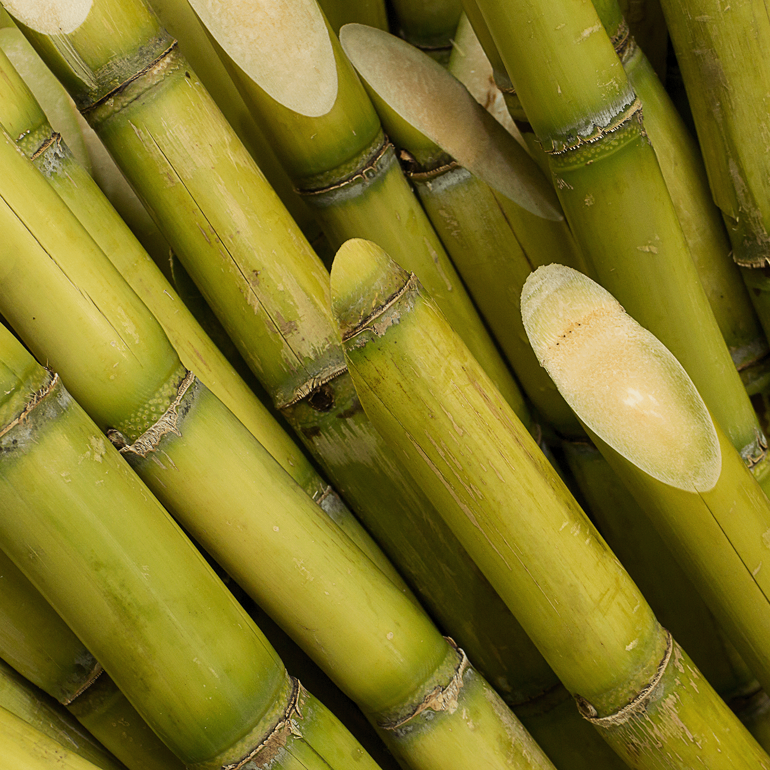 Close-up of stacked green sugarcane stalks with visible joints and cut ends revealing their fibrous interior, reminiscent of the fresh vibrancy promised by Tuscany Candle® SEASONAL's Mango Meringue: Sweet Orange Scented Spring Wax Melt (2.5 oz).