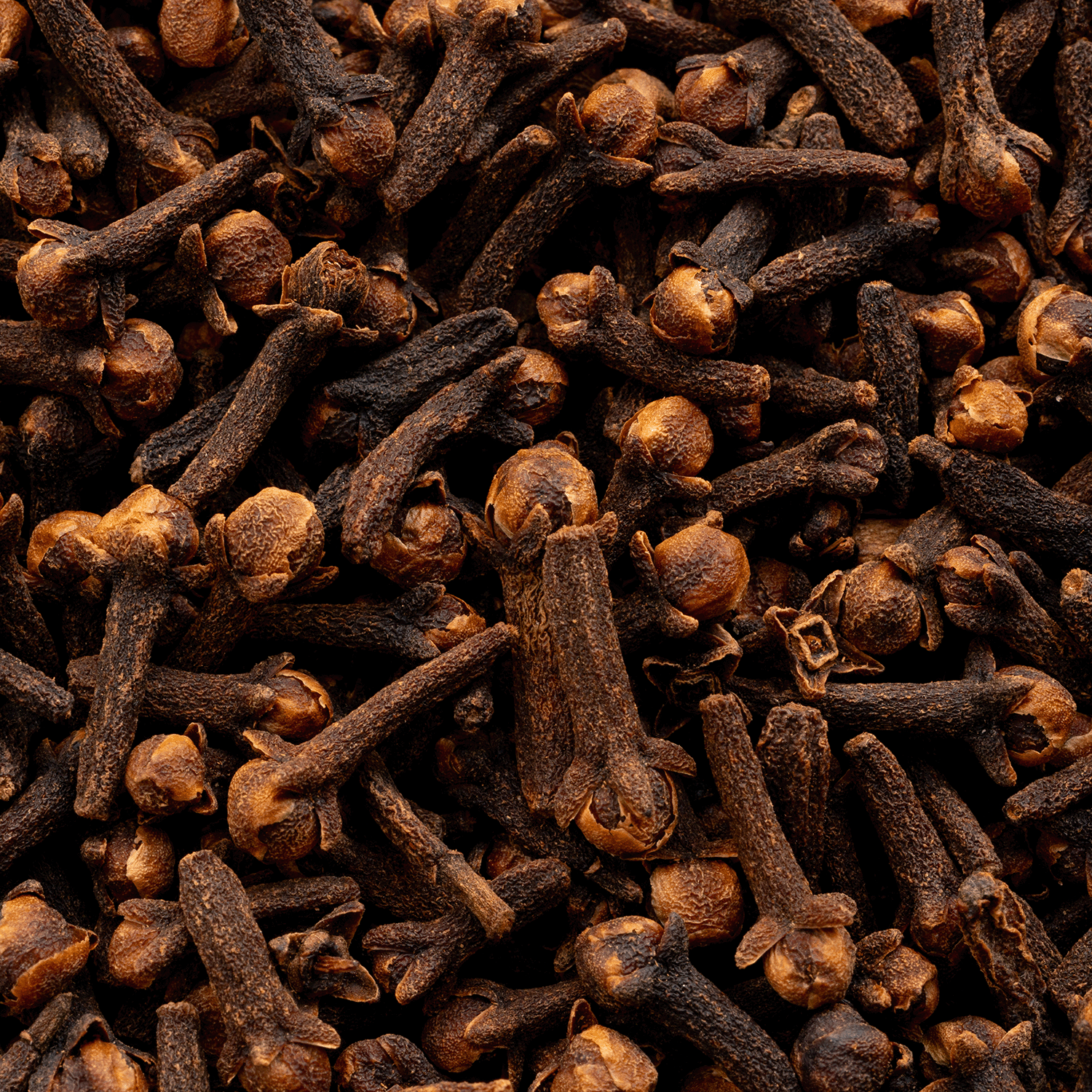 A close-up of dried whole cloves highlights their dark brown stems and tops—the ideal spice to evoke cozy fall vibes or enhance the Tuscany Candle® SEASONAL Apple Cider: Sugared Ginger & Cinnamon Scented Fall Wax Melt (2.5 oz).