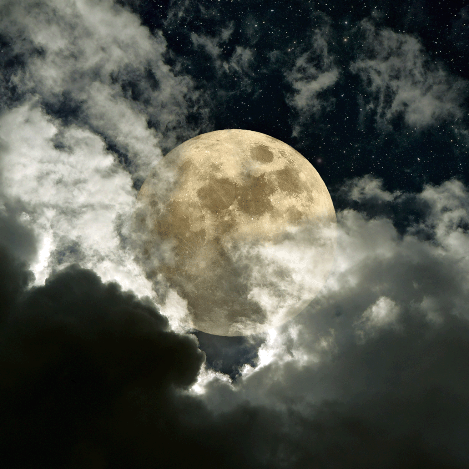 Bask in the glow of Tuscany Candle® SEASONAL’s Mystic Moon: Juicy Cherry & Oud Scented Halloween Candle (18 oz), inspired by a full moon and starry night—perfect for filling your home with autumn fragrance.