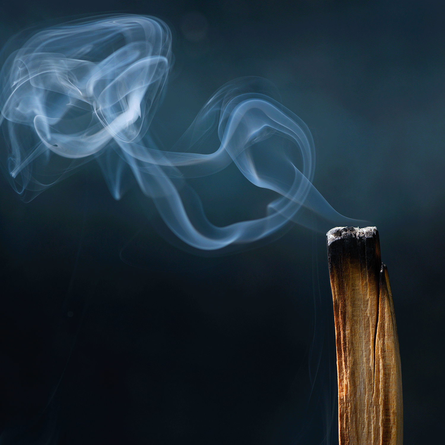 A close-up of smoke curling from a burning incense stick evokes the mysterious aroma of Tuscany Candle® SEASONAL's Haunted Forest: Palo Santo & Eerie Fog Scented Halloween Wax Melt (2.5 oz) against a dark background.