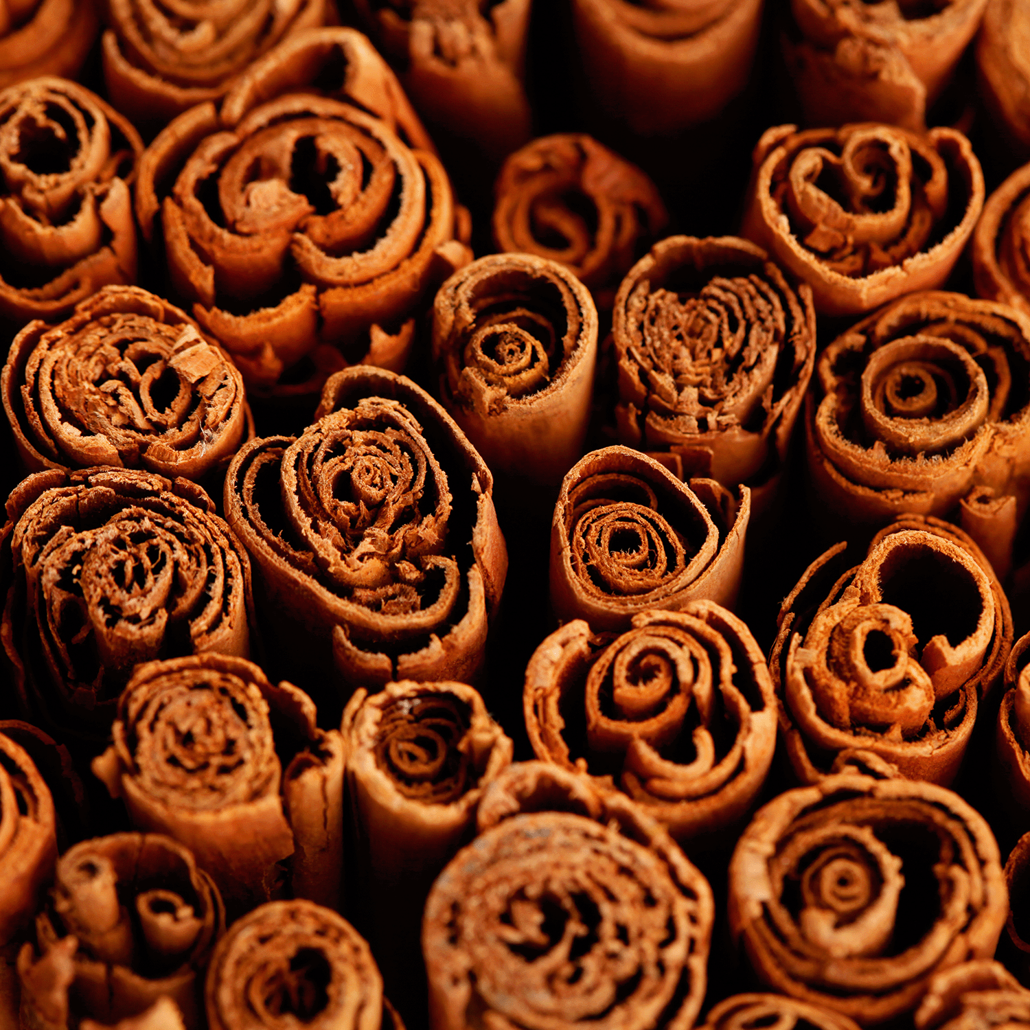 Close-up of several tightly packed cinnamon sticks, highlighting their rich texture—perfect for melting in a Tuscany Candle® SEASONAL Pumpkin Smash: Baked Cinnamon & Crushed Clove Scented Halloween Wax Melt (2.5 oz).