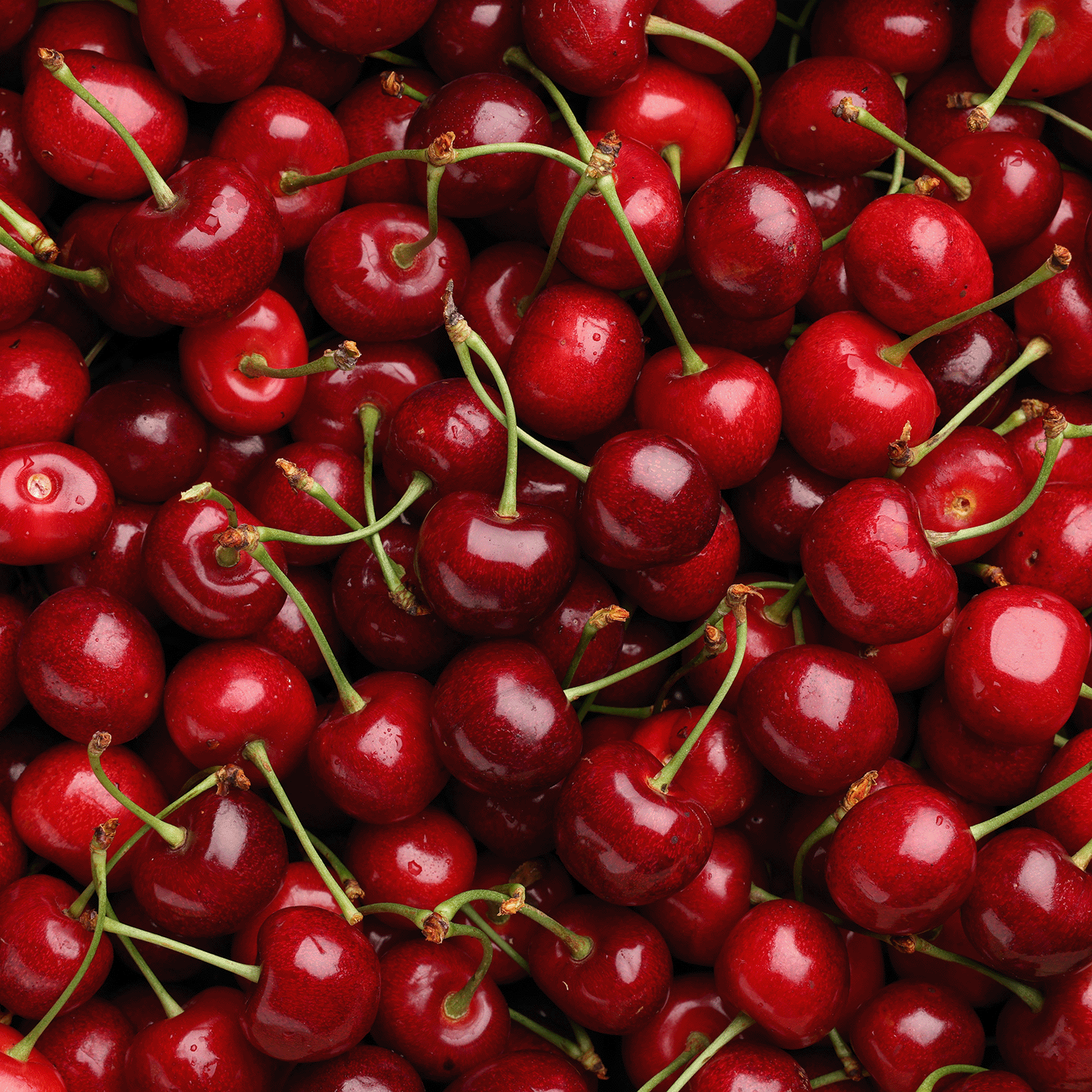 A close-up of fresh red cherries with stems—perfectly paired with Tuscany Candle® SEASONAL’s Mystic Moon: Juicy Cherry & Oud Scented Halloween Candle (18 oz) to create a cozy autumn vibe.