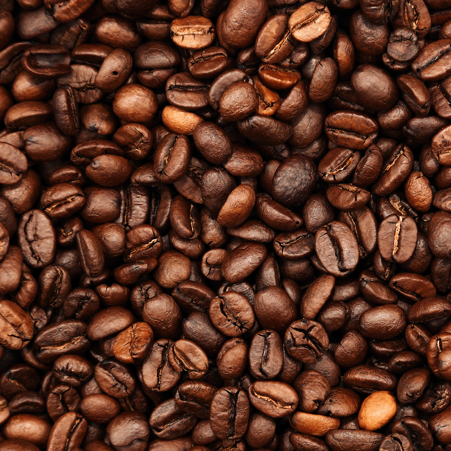 A close-up of roasted coffee beans captures the rich aroma evoked by Tuscany Candle® SEASONAL's Espresso Caramel Cookie: Sea Salt & Vanilla Bean Scented Holiday Candle (12 oz) from the Bakery Tins Collection.