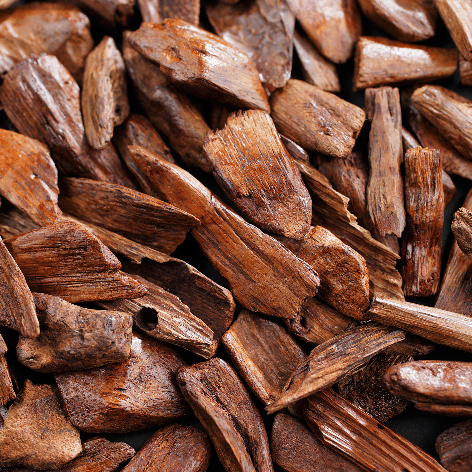 A close-up of the Sweet Nothings: Violet & Magnolia Scented Valentine's Candle (18 oz) by Tuscany Candle® SEASONAL highlights its elegant design and luxurious floral fragrance, perfect for creating a romantic atmosphere.