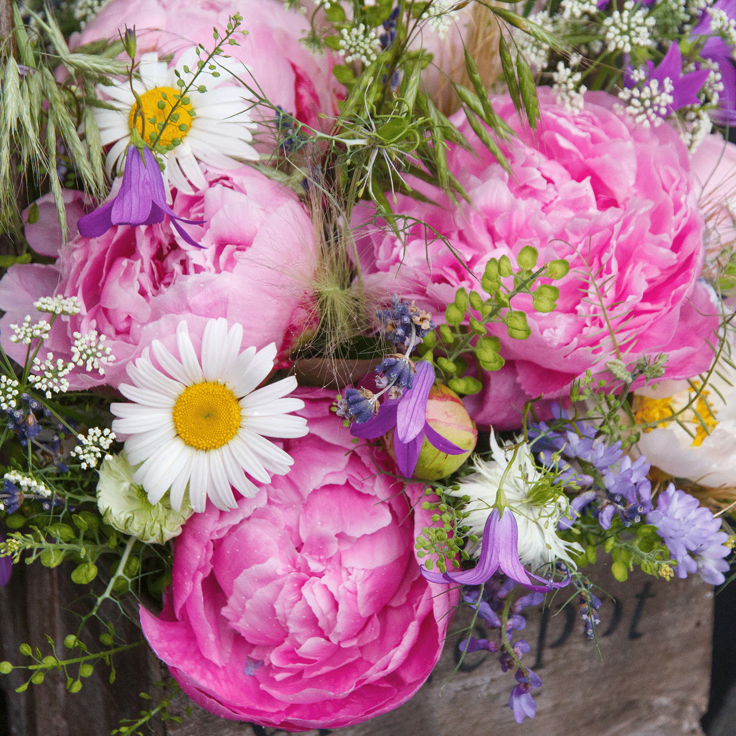 Presenting the Silky Satin: Cotton & Chamomile Scented Valentine's Candle (14 oz) by Tuscany Candle® SEASONAL—a fragrant candle perfect for any occasion.