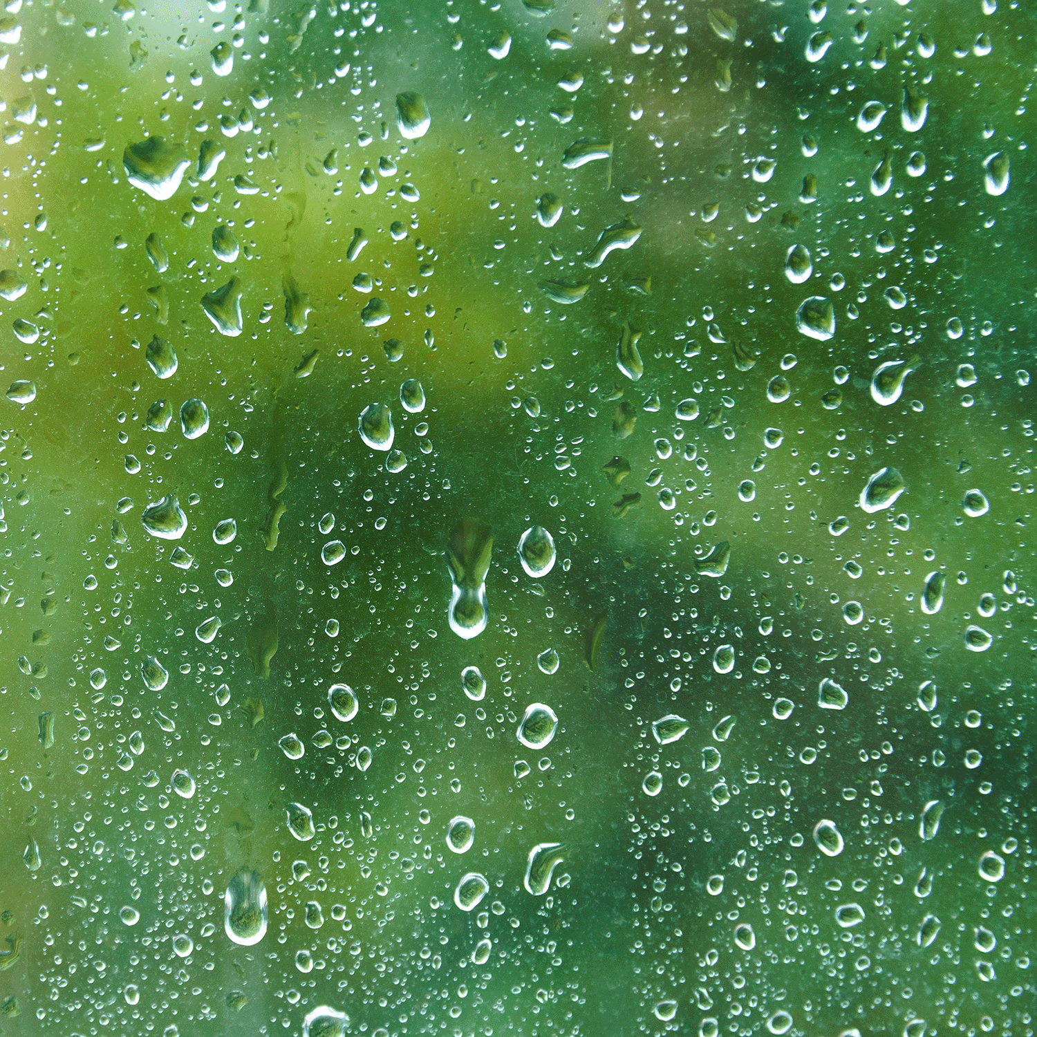 Love Blooms: Cherry Blossom Scented Valentine's Candle (14 oz) by Tuscany Candle® SEASONAL evokes the fresh scent of cherry blossoms, like water droplets on a glass window with a blurred green background after rain.