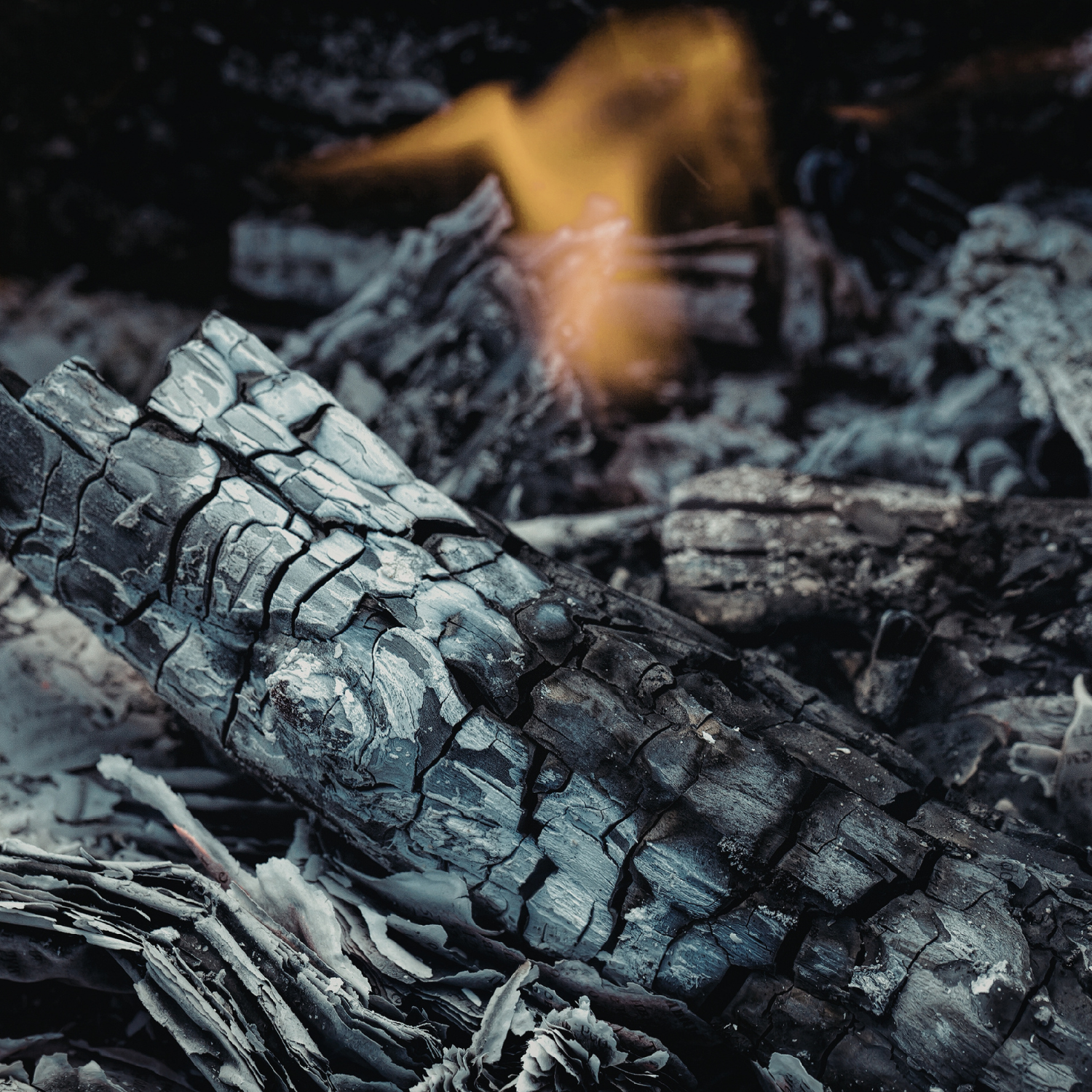 Close-up of charred logs and ashes with a glowing flame, capturing the cozy warmth of farmhouse decor inspired by Tuscany Candle® EVD Fireside Scented Jar Candle (10 oz) from the Farmhouse Collection.