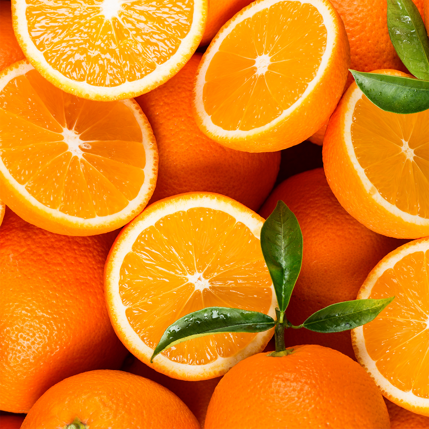 Several whole oranges and orange halves with green leaves capture the vibrant look of Tuscany Candle® SEASONAL Citrus Splash: Tropical Juice & Bright Citrus Scented Spring Wax Melt (2.5 oz) for a burst of tropical fragrance.