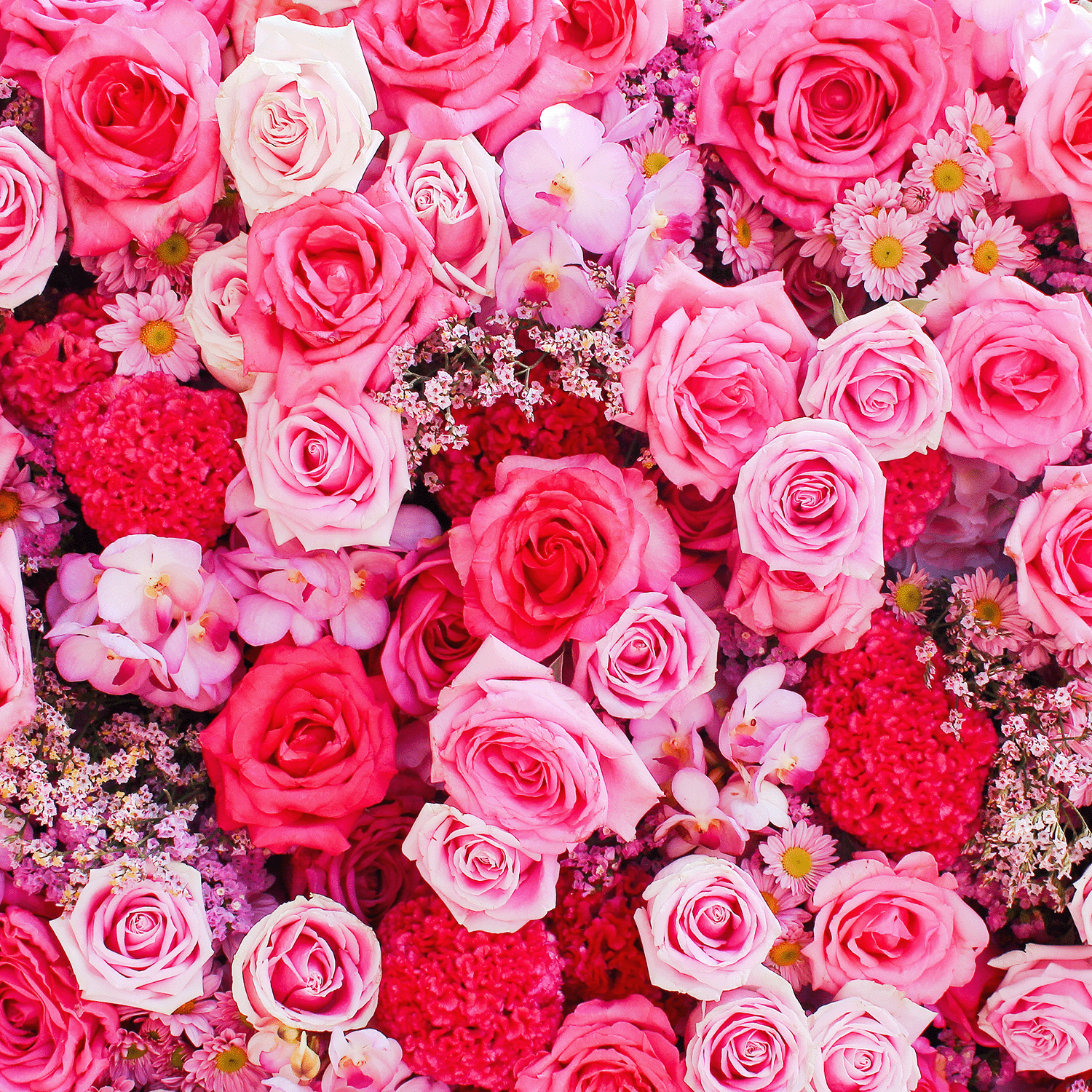 Inspired by a lush blend of pink and red blooms, Tuscany Candle® SEASONAL Wild Daydreams: Freesia & Rose Spring Wax Melt (2.5 oz) fills your space with vibrant, fresh floral scents—perfect for a touch of spring indoors.