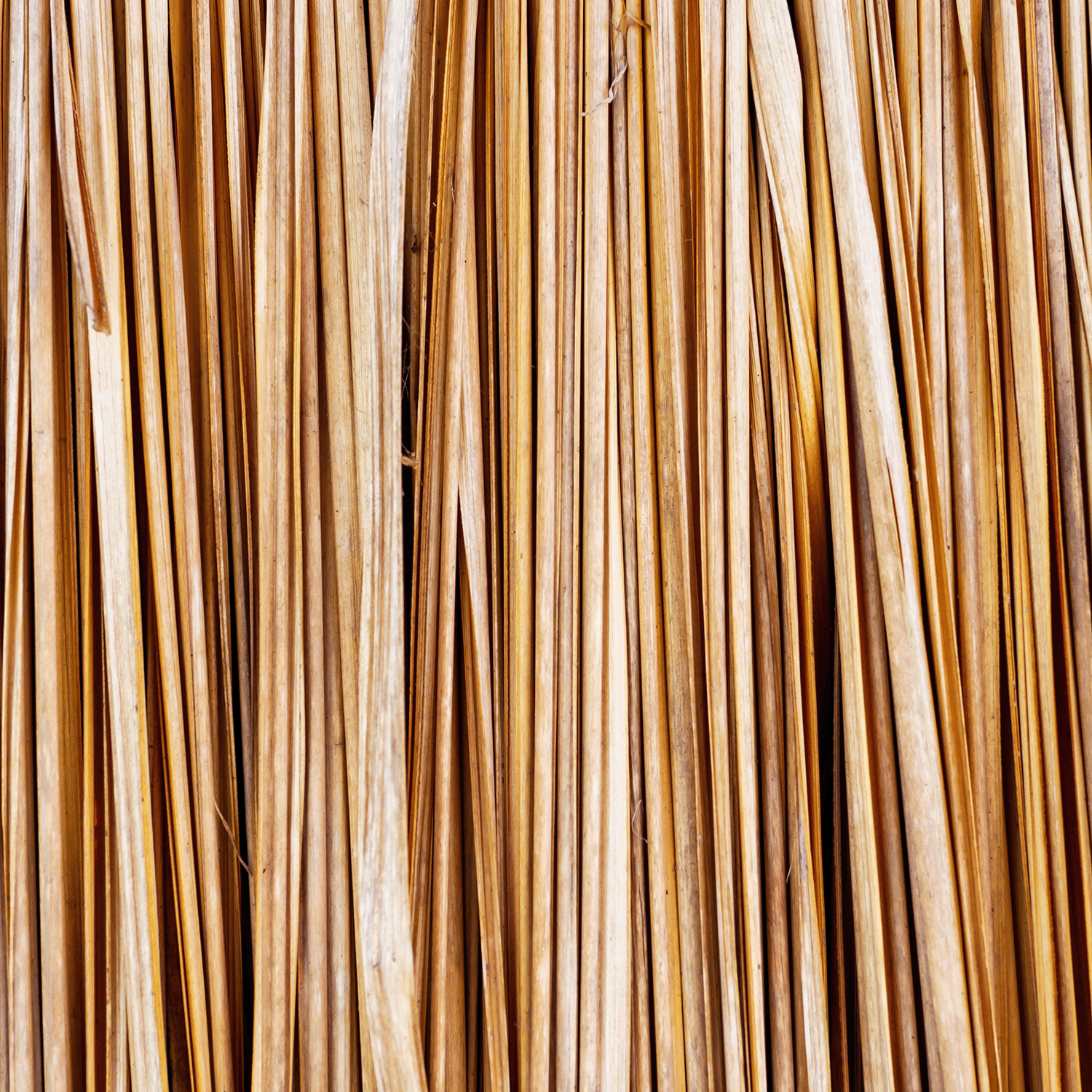 Close-up of dry brown straw evokes the natural texture featured in Tuscany Candle® SEASONAL’s Dandelion Wishes: Mandarin & Vetiver 12 oz Spring Tin Candle, part of the Down to Earth Collection.
