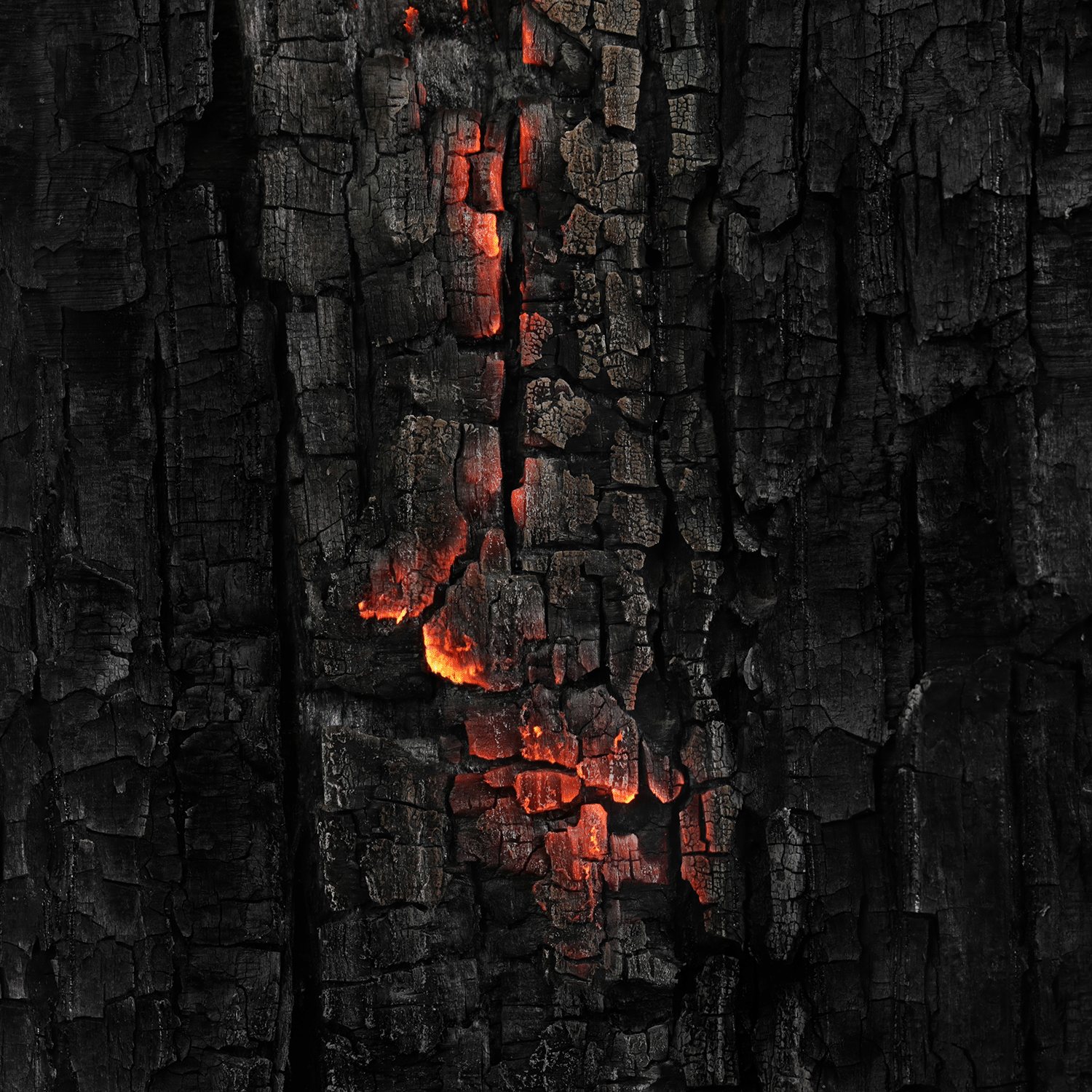 A close-up of the Haunted Graveyard: Phantom Smoke & Dark Woods Scented Halloween Wax Melt by Tuscany Candle® SEASONAL (2.5 oz) reveals charred wood texture with visible cracks and glowing embers, capturing the essence of burned and partially burning material.