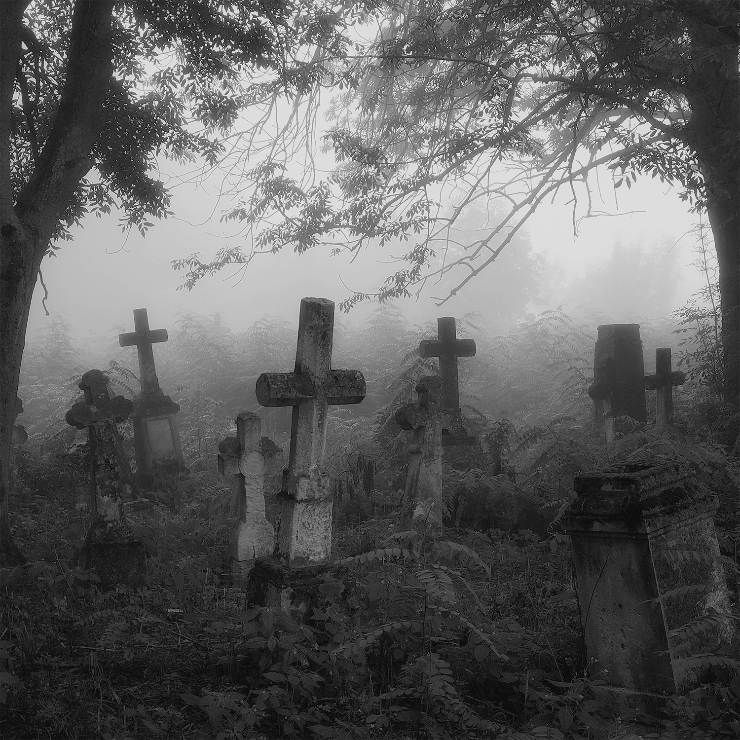 Capture the eerie ambiance of a haunted graveyard with the Tuscany Candle® SEASONAL “Haunted Graveyard: Phantom Smoke & Dark Woods” scented Halloween candle (18 oz), evoking black and white images of weathered crosses and gravestones enveloped by dense fog and shadowy trees.