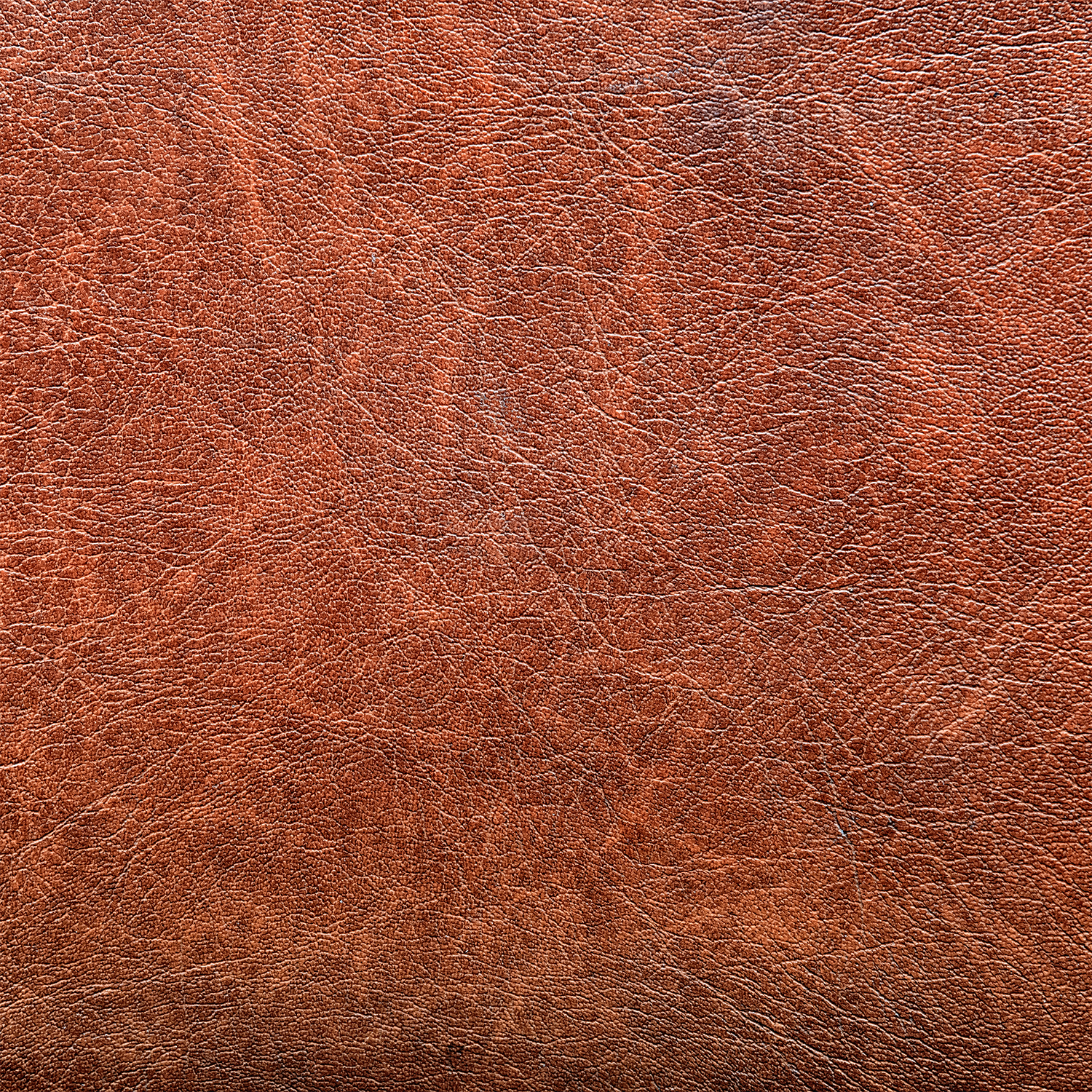 A close-up of the Haunted Patch Halloween Candle by Tuscany Candle® SEASONAL highlights its brown leather-inspired texture, showcasing natural grain patterns and subtle creases.