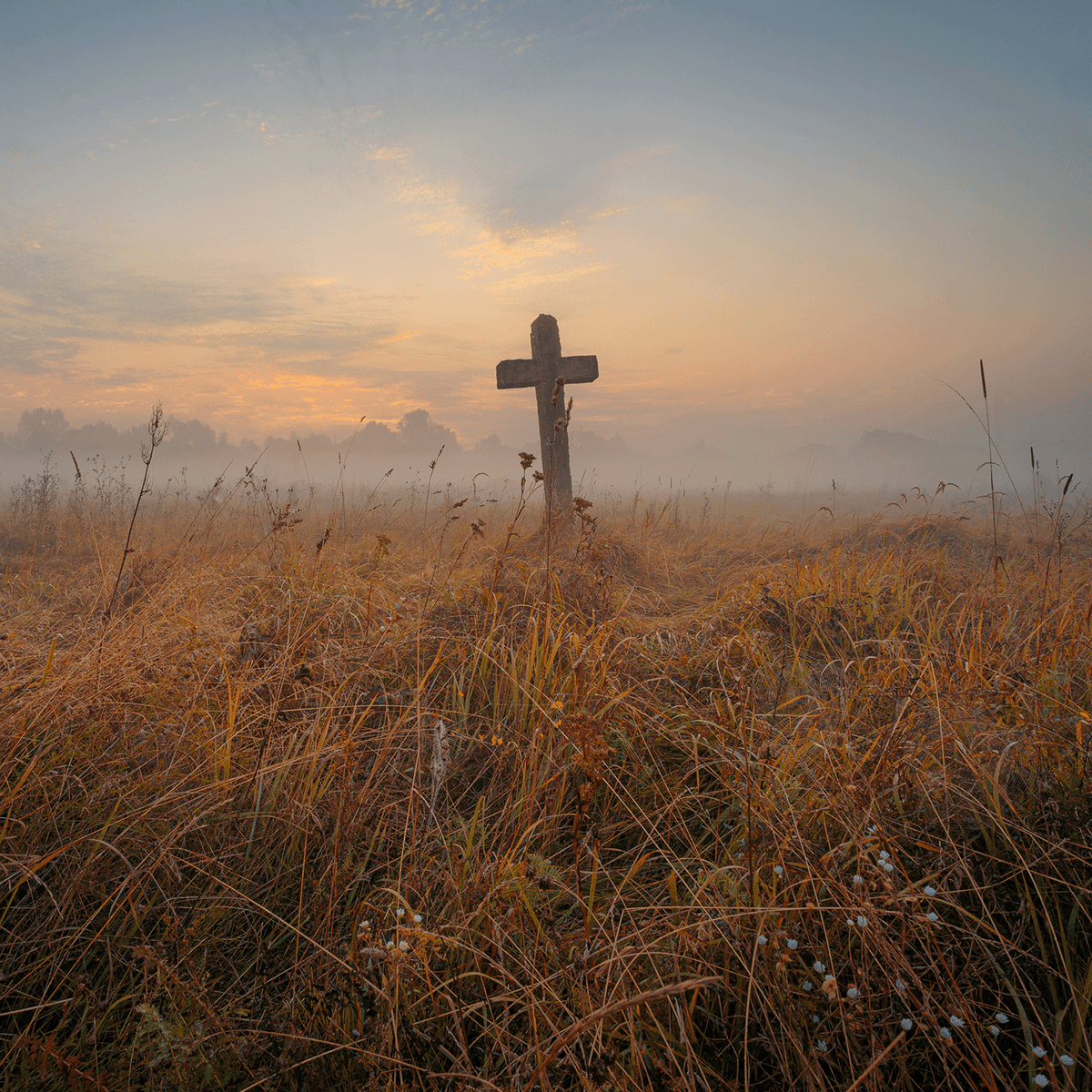 Certainly! Here’s a revised version using your product data: A Tuscany Candle® SEASONAL “Graveyard Fog: Twilight Amber, Sage & Oak” scented Halloween candle (18 oz) evokes the scene of a wooden cross standing in misty grass at sunrise, surrounded by tall, dry blades beneath a cloudy sky.