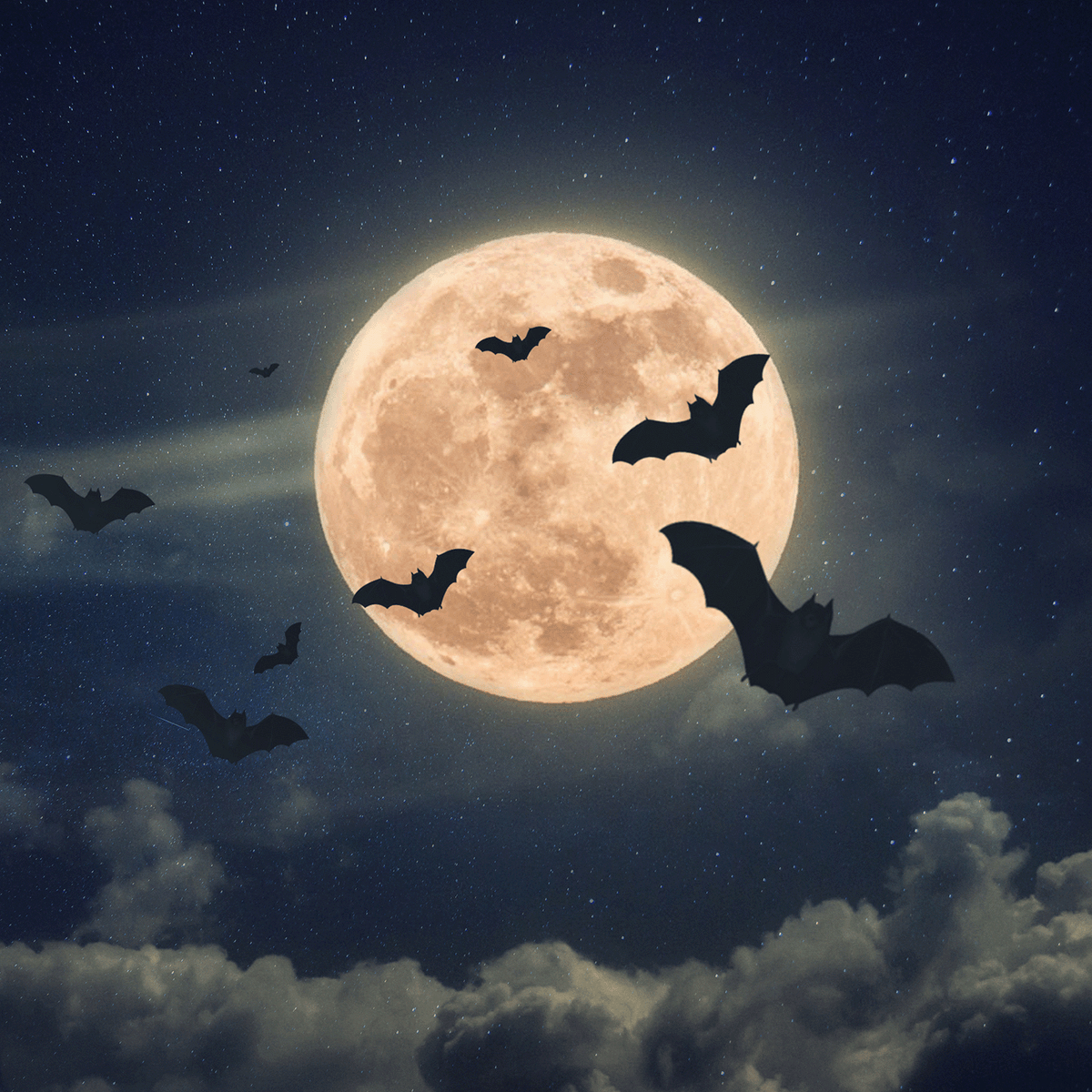 A group of bats soars across a glowing full moon in a cloudy night sky, captured on the label of Tuscany Candle® SEASONAL’s Full Moon: Black Timber & Red Cherry Scented Halloween Candle (12.5 oz).
