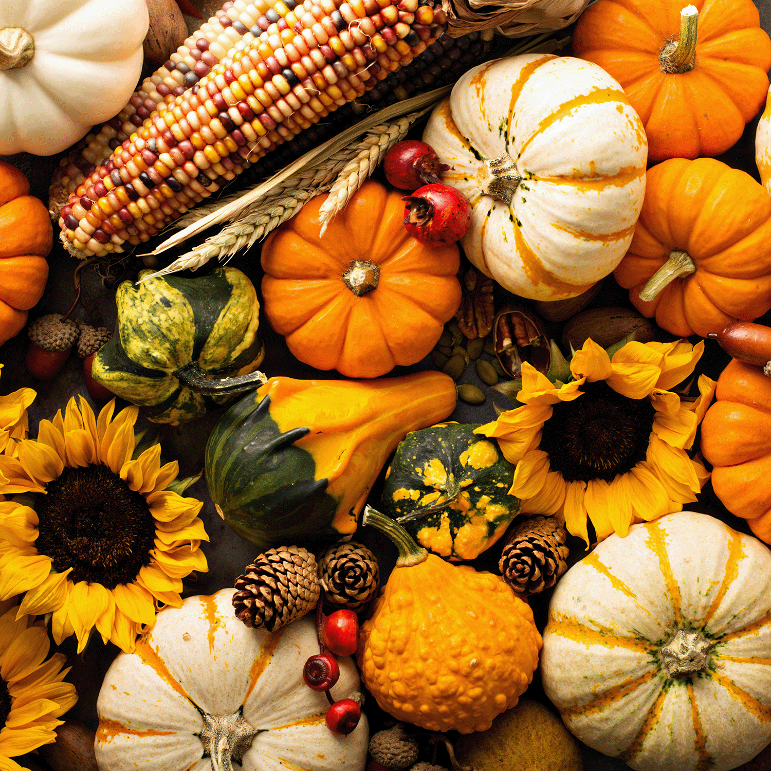 A 13 oz Life Is Good: Vanilla Pumpkin Scented Halloween Candle by Tuscany Candle® SEASONAL arranged as part of an autumn harvest display.