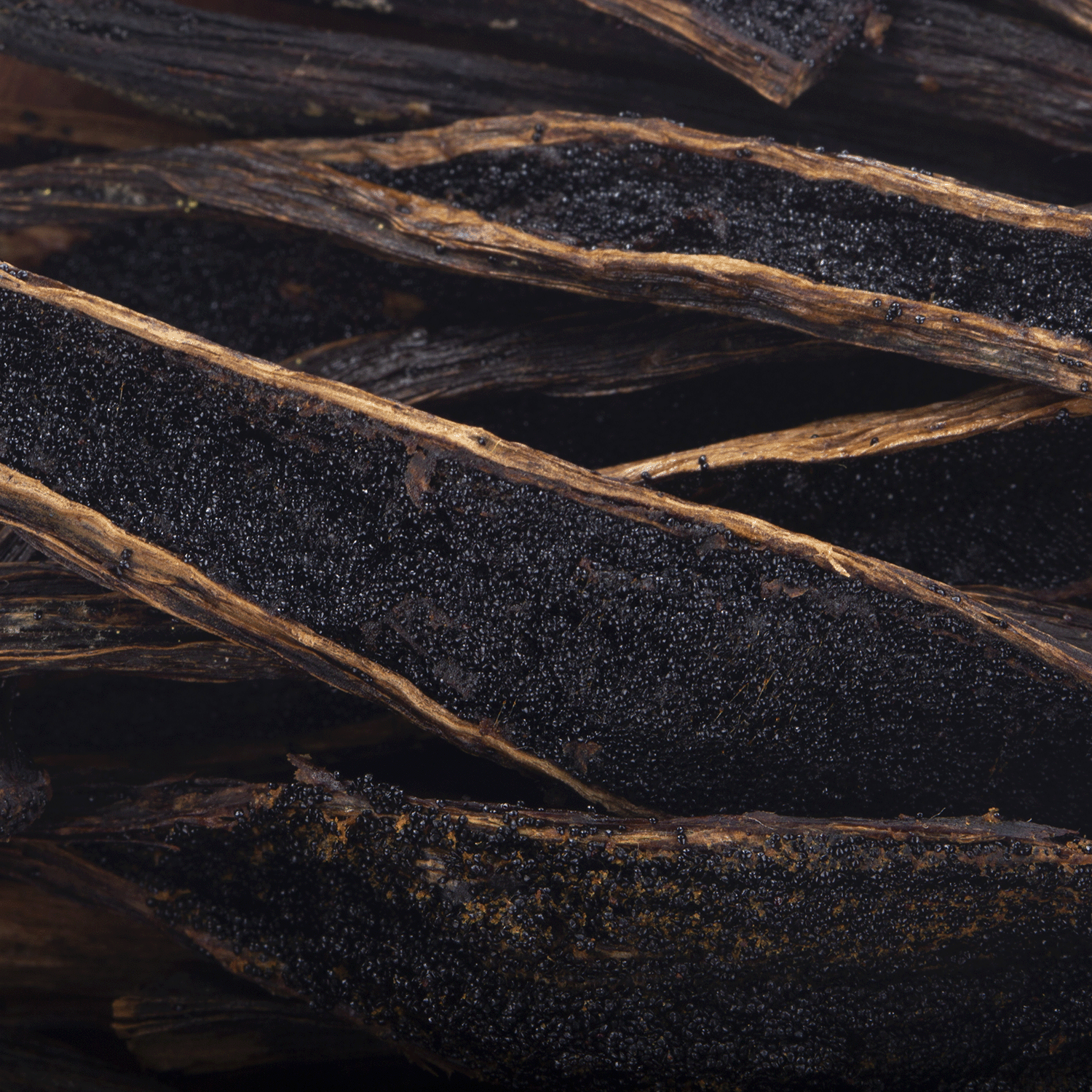 Close-up of dried vanilla beans split open to reveal their dark, granular seeds, with rough textures and a striking contrast between seeds and pod—evoking cozy autumn notes perfect for those who love rich seasonal fragrances like Tuscany Candle® SEASONAL Pumpkin Cheesecake: Caramel & Vanilla Scented Fall Wax Melt (2.5 oz), crafted from a premium soy blend wax.