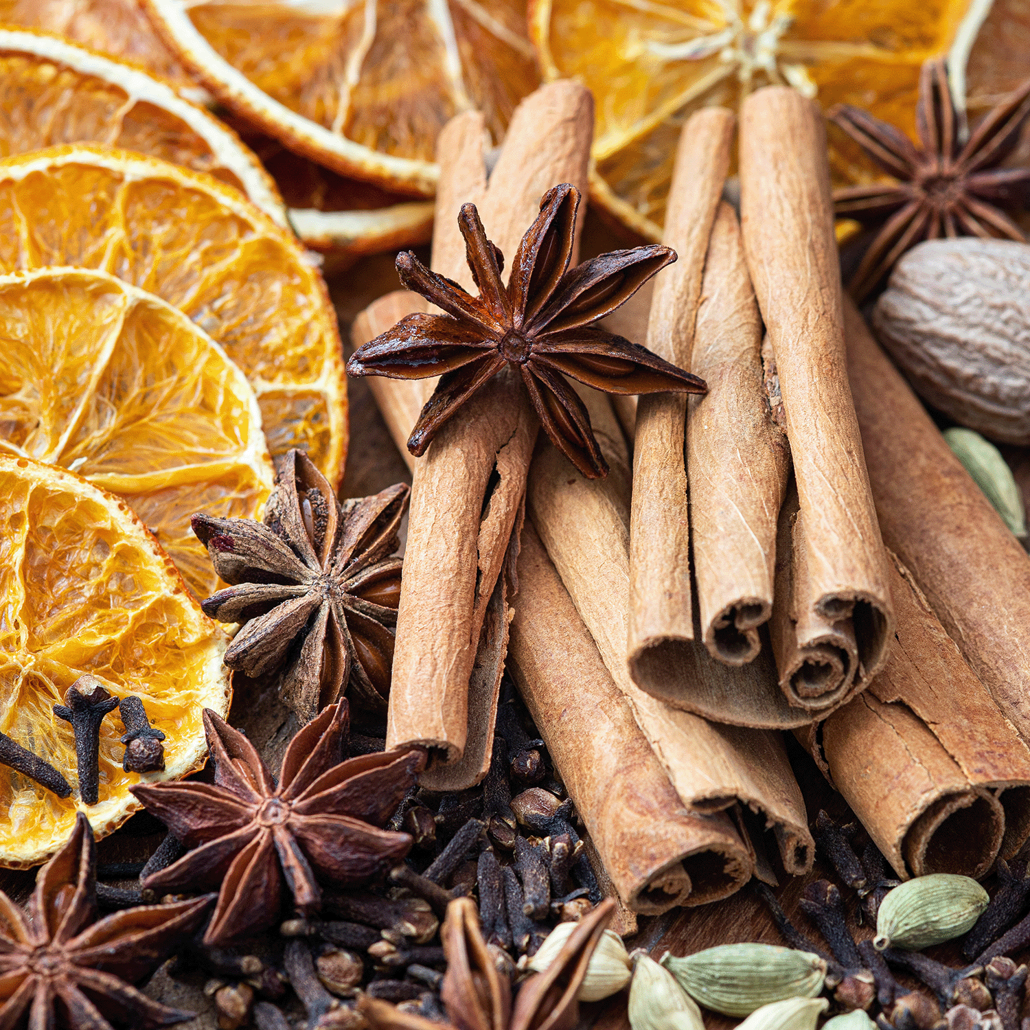 Dried orange slices, cinnamon sticks, star anise, cloves, cardamom pods, and a whole nutmeg are arranged closely together—evoking the cozy essence of an autumn home fragrance and recalling the inviting scent of Tuscany Candle® SEASONAL Harvest Pumpkin: Pumpkin & Autumn Spices Scented Fall Candle (18 oz).