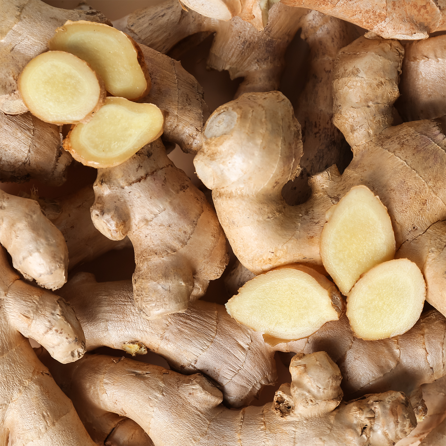 Whole ginger roots with a few pieces sliced open to reveal their fresh, pale yellow interior—just the inspiration you need for filling your space with the cozy aroma of Tuscany Candle® SEASONAL Campfire Cider: Warm Apple & Clove Scented Fall Wooden Wick Candle (14.5 oz), perfect for evoking all the comforts of autumn.