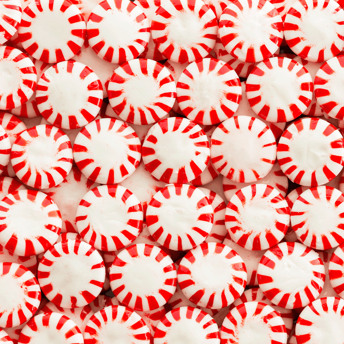 A flat lay of Peppermint Fluff: Sugared Vanilla & Peppermint Scented Holiday Wax Melt (2.5 oz) surrounded by round, white peppermint candies with red pinwheel stripes.