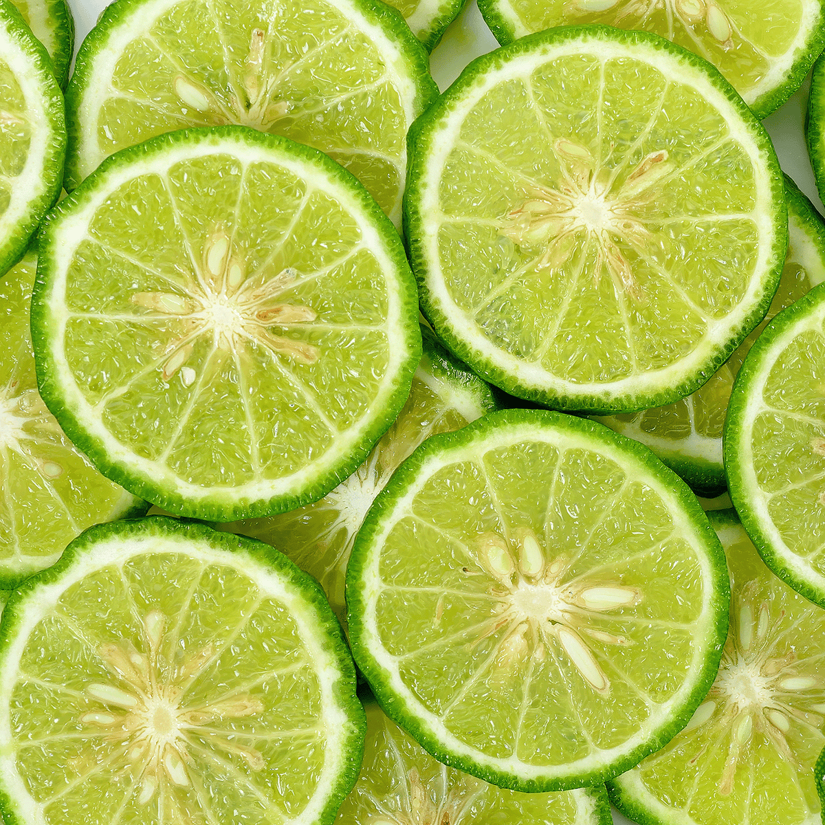 A close-up of overlapping, circular slices of green citrus fruit representing Midnight Evergreen: Bergamot & Rose Scented Holiday Candle (14 oz).