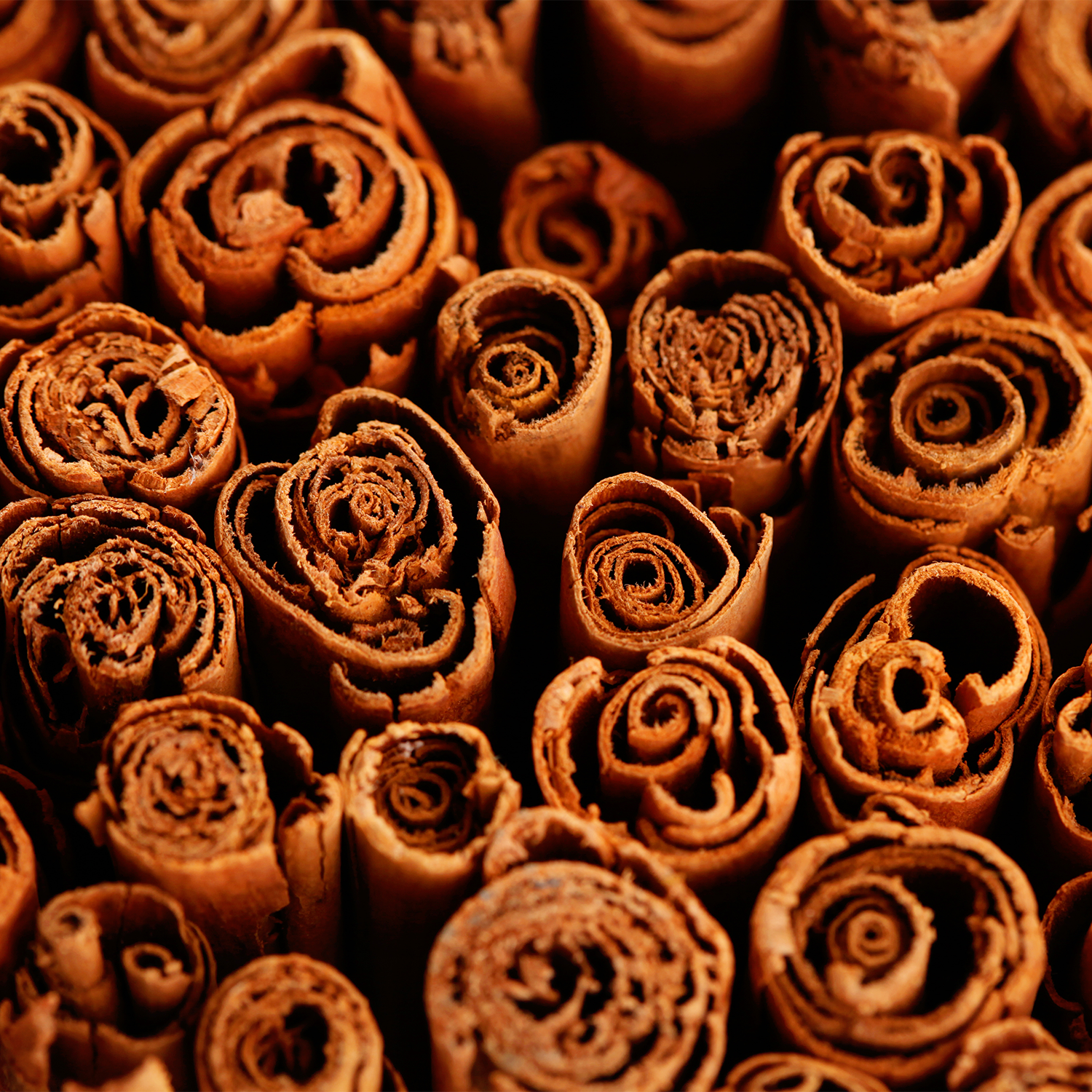 A close up photo of a bundle of cinnamon sticks. These spices represent the cinnamon in Tuscany Candle's "Cinnamon" scented candle