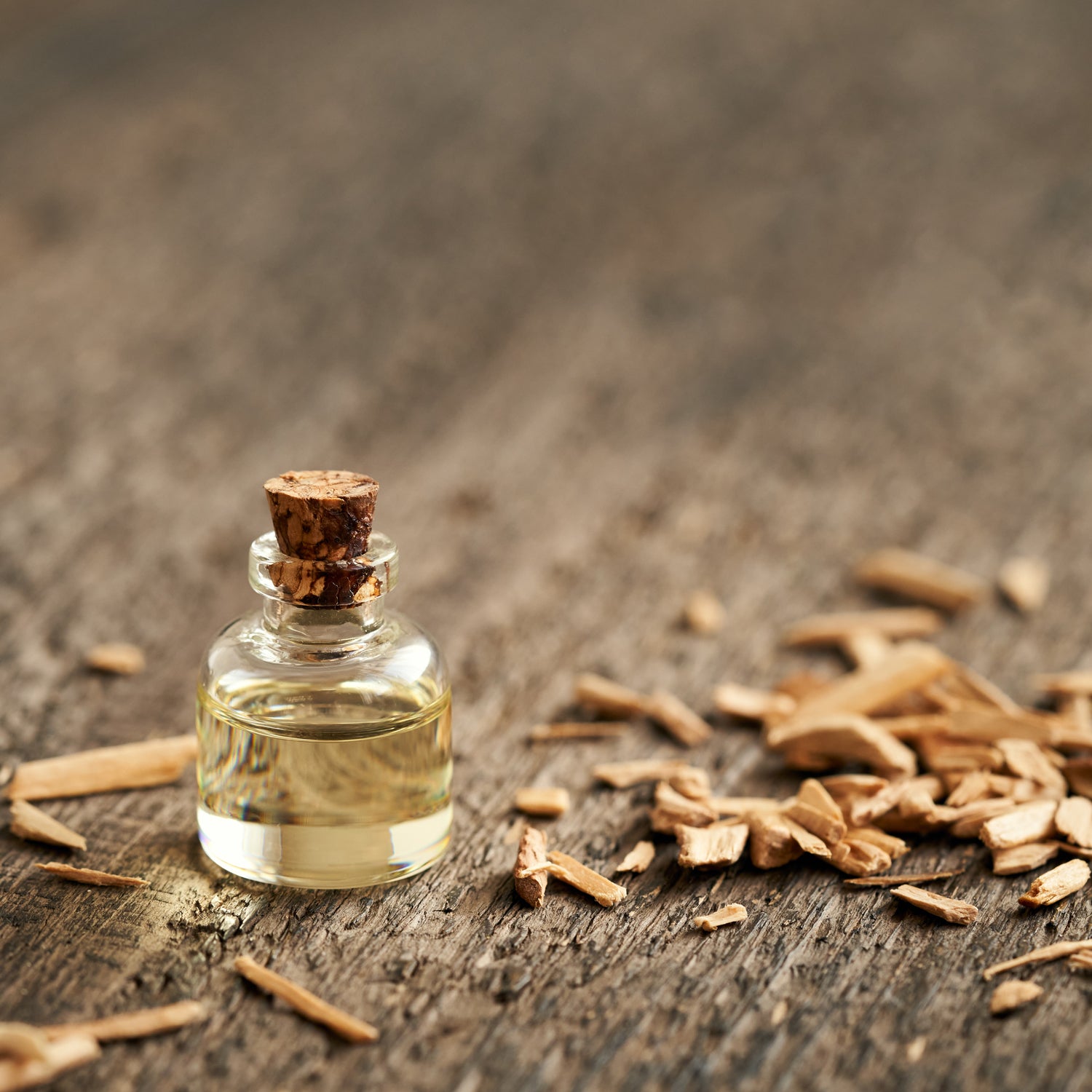 A vial of cedar wood essential oil - one of the key notes in our "Tundra Meditation" scented candle