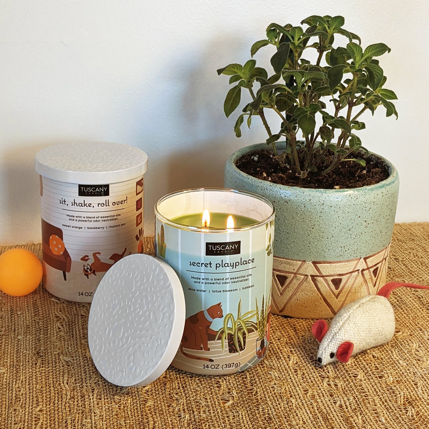 Odor candles hotsell