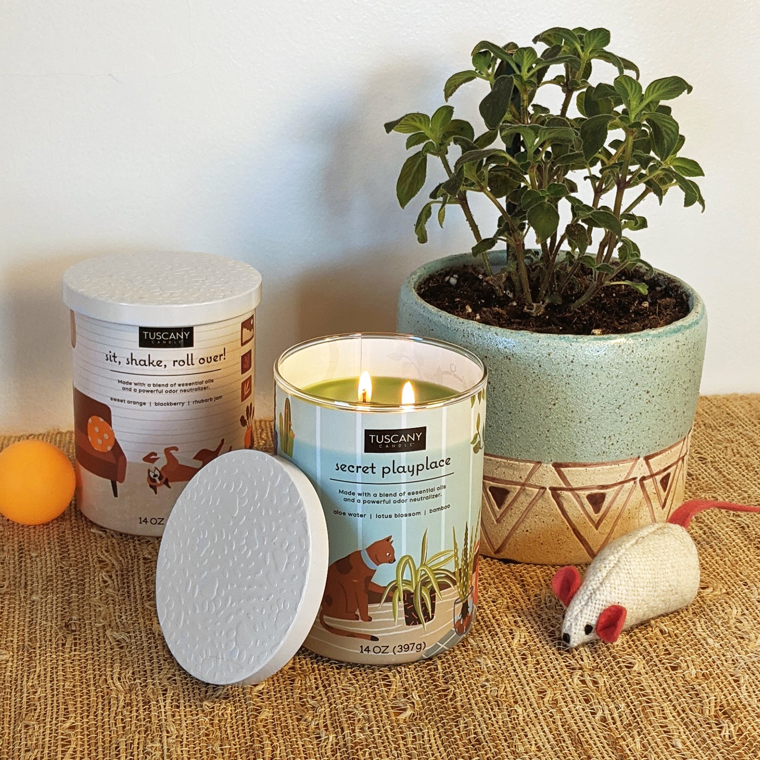 A group of Tuscany Candles Secret Playplace Scented Jar Candle (14 oz) – Pet Odor Control Collection and a plant that provide fragrance and odor control.