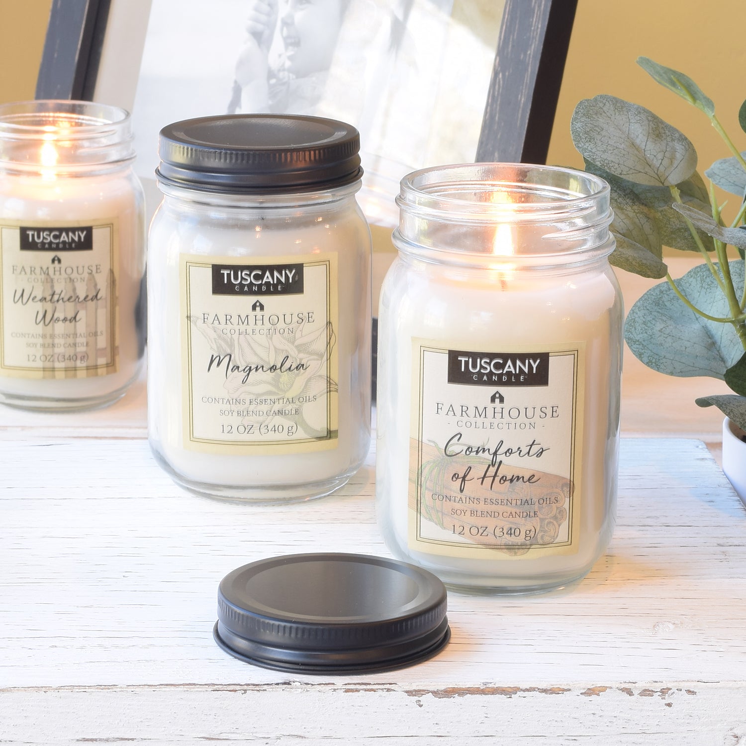 Three jars of candles, including a Tuscany Candle Magnolia scented jar candle (12 oz) from the Farmhouse collection, are displayed on a table next to a plant.