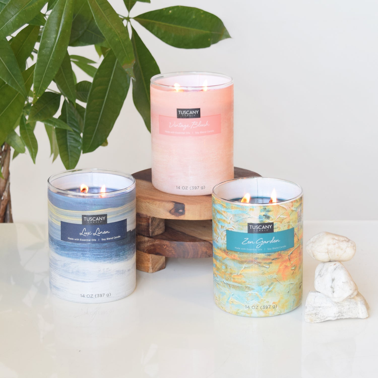 Three Zen Garden Scented Jar Candles (14 oz) from the Tuscany Candle Home Décor Collection on a table next to a plant emitting a soothing FRAGRANCE.