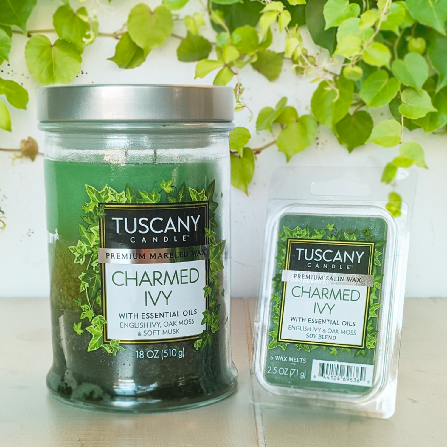 Green "Charmed Ivy Long-Lasting Scented Jar Candle" candle in a jar alongside wax melts with the same fragrance, displayed on a table with trailing English ivy in the background. (Brand Name: Tuscany Candle® EVD)