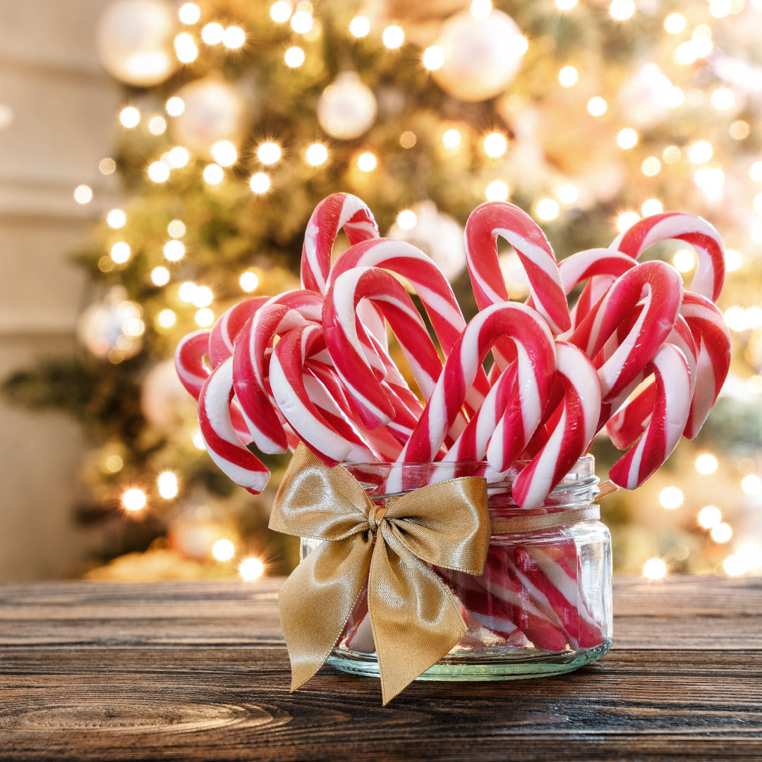 A bundle of candy canes rests in front of a lighted Christmas tree. Inspiration for our "Holiday Peppermint" scented candles