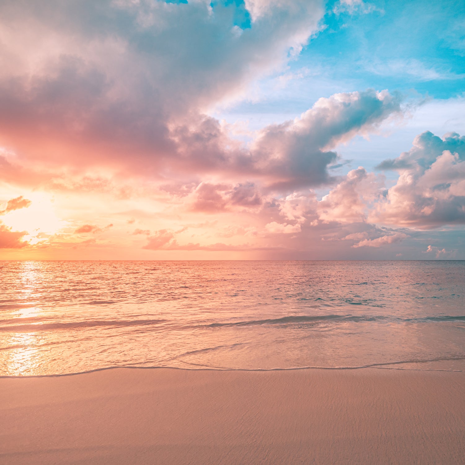 A photo of a serene beach sunrise. This sensation is encapsulated in the "Beach Rose" air-freshening candle from Tuscany candle.