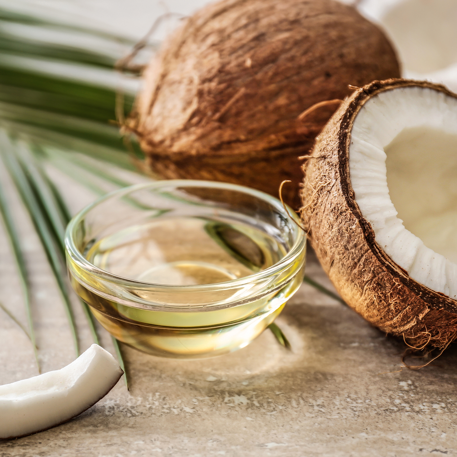 A bowl of Iced Lemon & Coconut (12 oz) with halved and whole coconuts, accompanied by coconut pieces and palm leaves on a stone surface, from the Tuscany Candle® EVD collection.