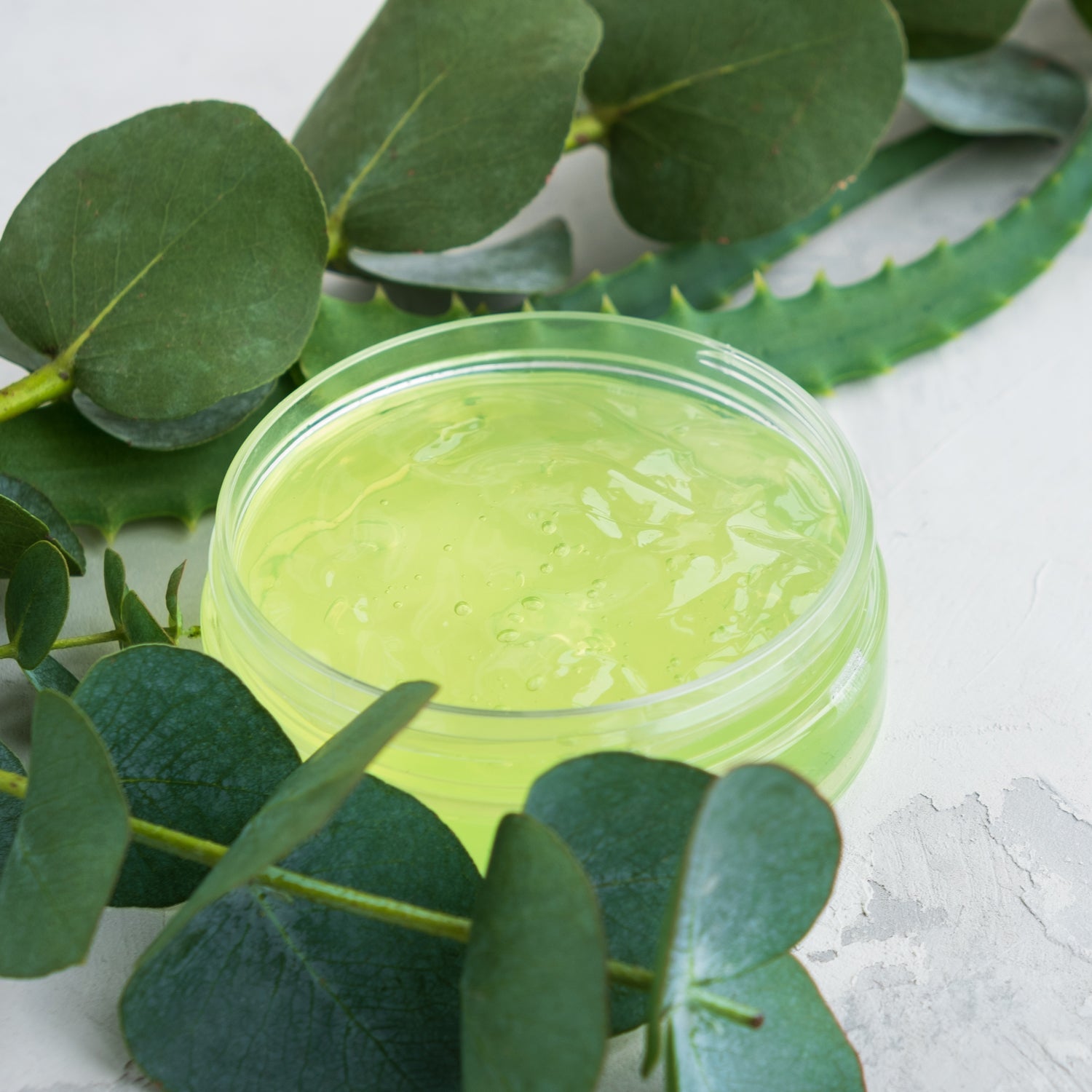 Aloe vera, an inspiration for Eucalyptus Aloe, an odor-controlling candle from Tuscany Candle's Serene Clean® collection of scented candles