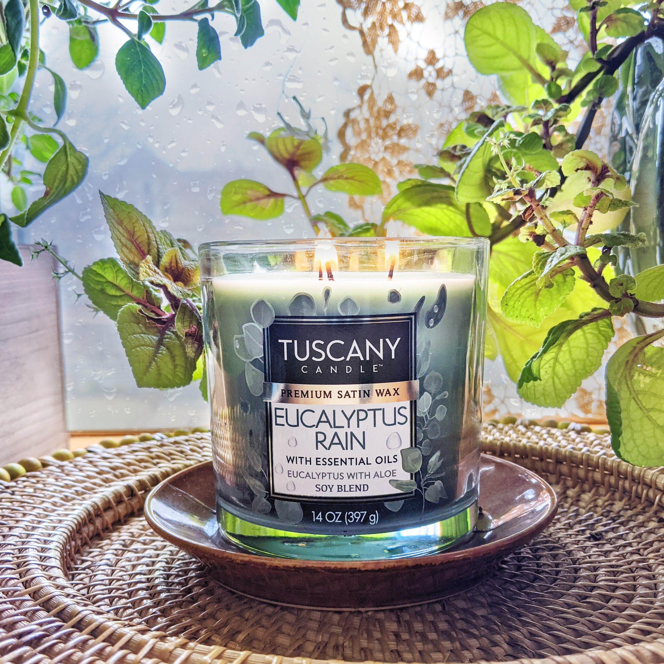 A Eucalyptus Rain Long-Lasting Scented Jar Candle (14 oz) from Tuscany Candle® EVD sits on a plate in front of a window, creating a soothing atmosphere for relaxation.