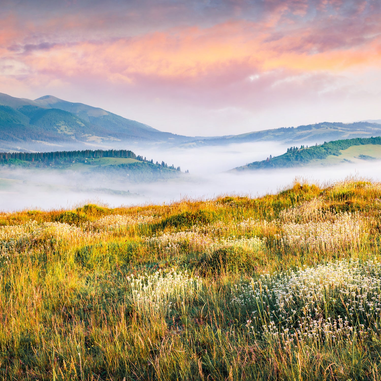 A serene mountain meadow with morning mist - the inspiration for this odor-neutralizing scented candle