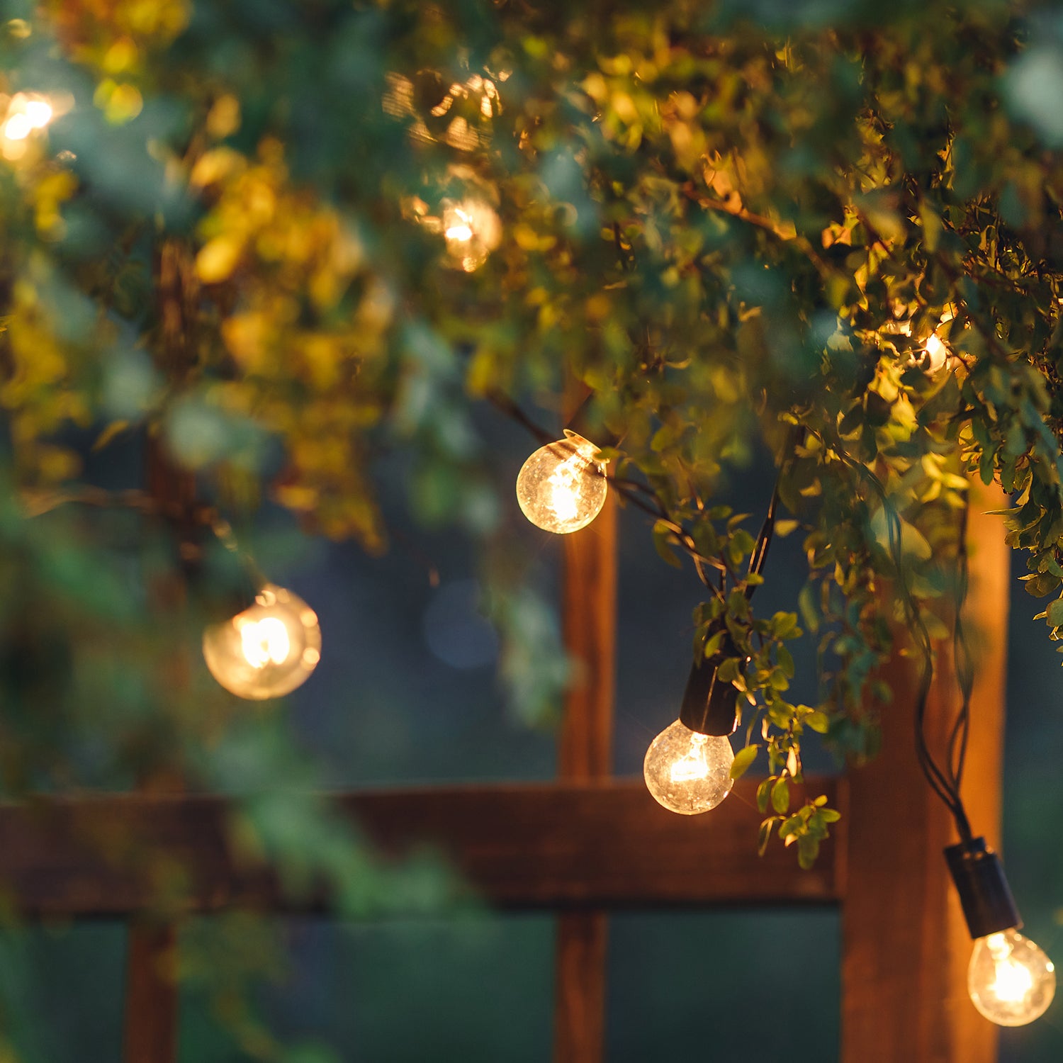 A Moonlit Blooms scented string of lights hanging from a tree by Tuscany Candle® EVD.