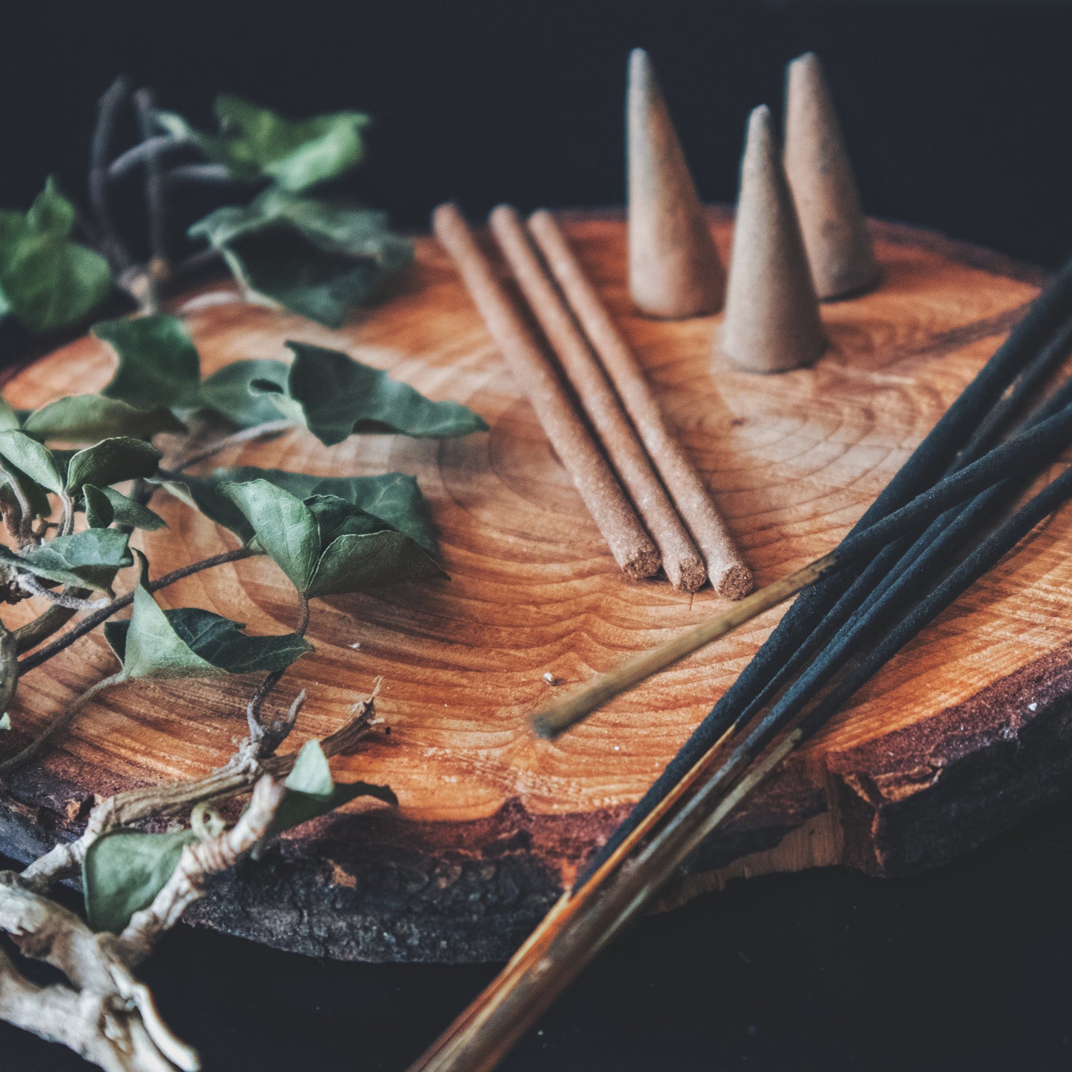 A variety of incenses are shown in a still life photo - these items form the core for the fragrance notes in the "Oakmoss and Incense" scented candle from Tuscany Candle's "Home & Heritage" collection of masculine candles.