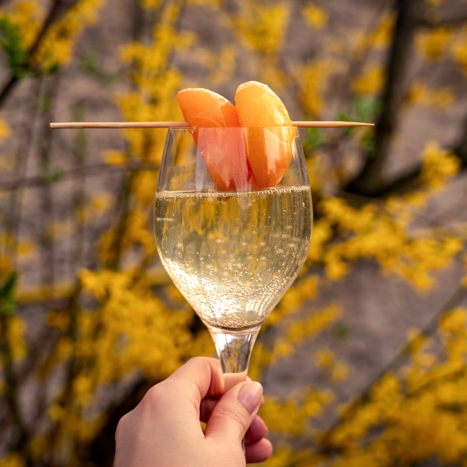 peaches and Prosecco - a bellini - the inspiration for this cocktail scented candle