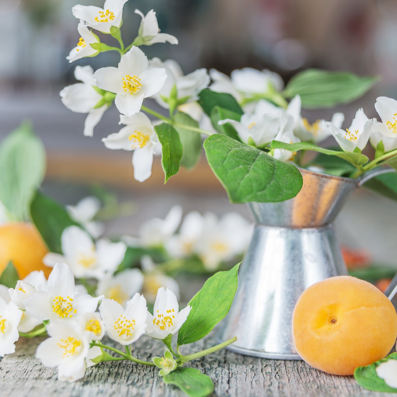 A still life photo of  jasmine blossoms and stone fruit - two of the fragrance notes found in the "Citrus Sunrise" scented candle from Tuscany Candle